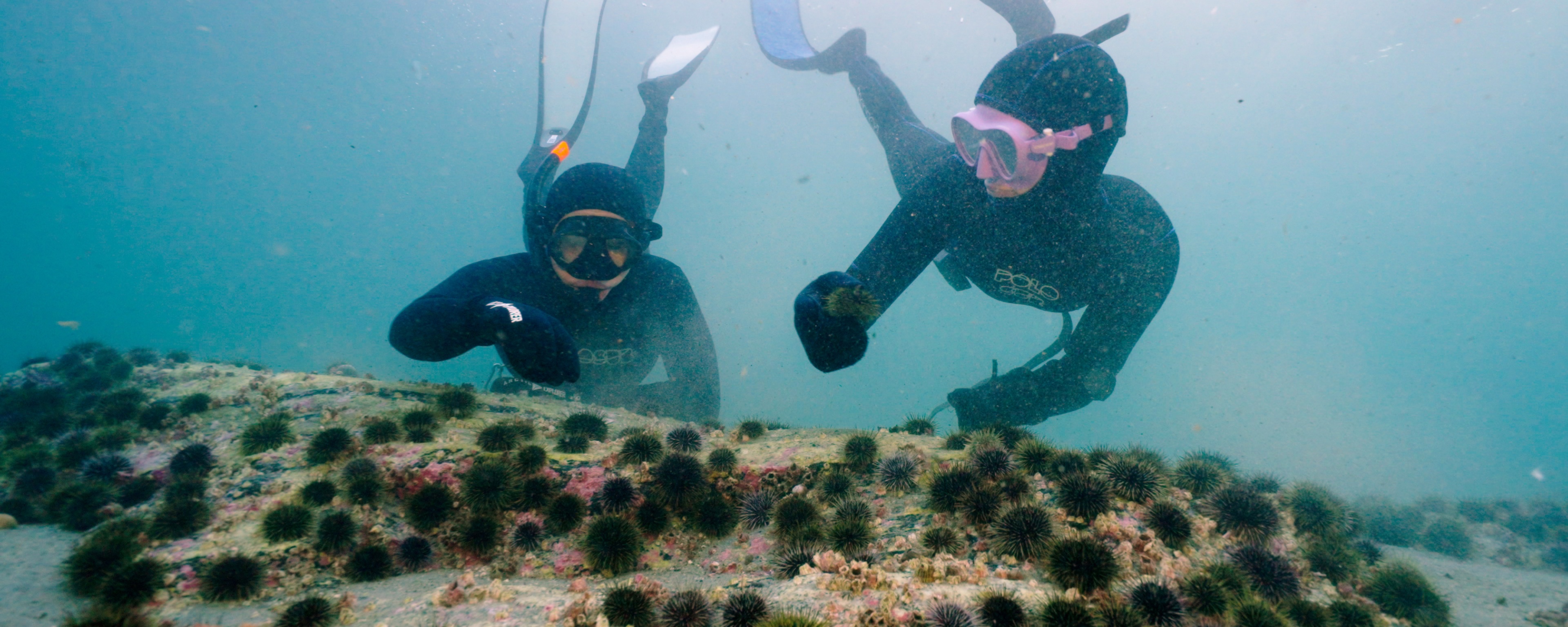 How Travel Drives Meaningful Change 