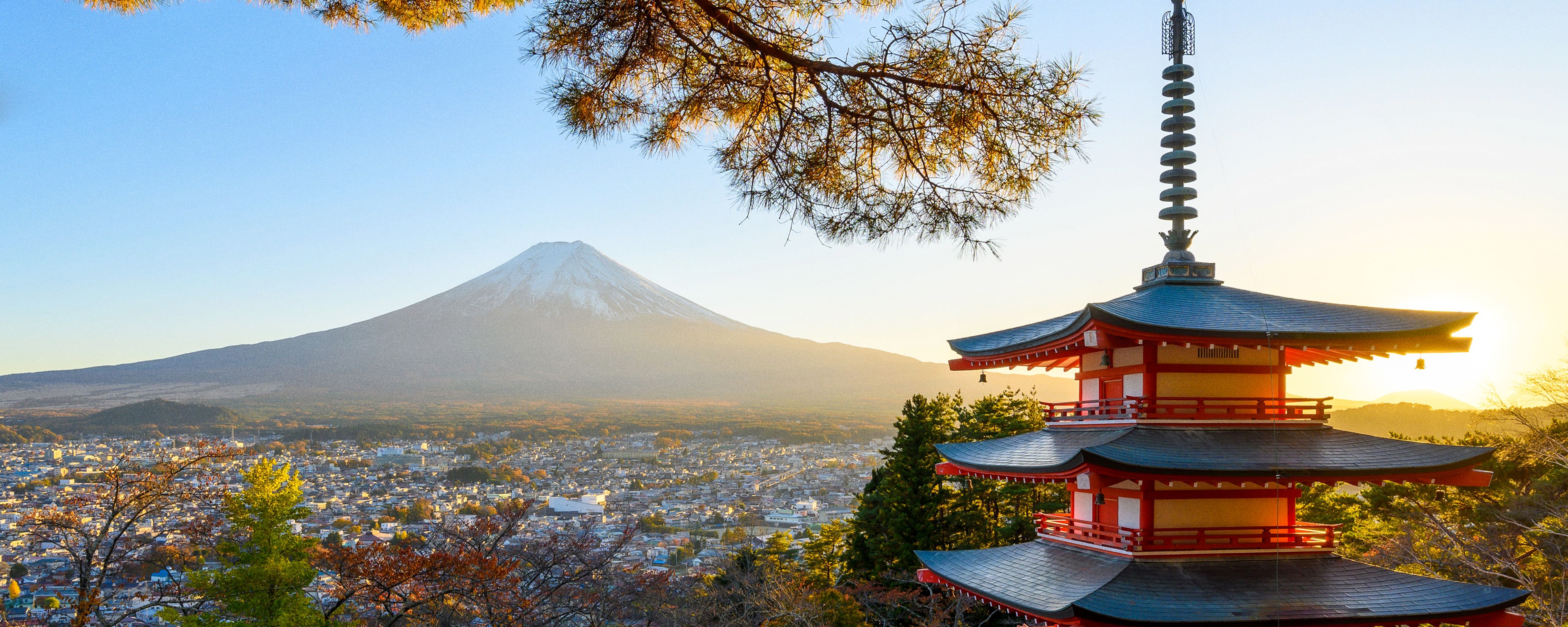 What to Do in Japan: Culture, Cuisine & Beyond the Highlights  