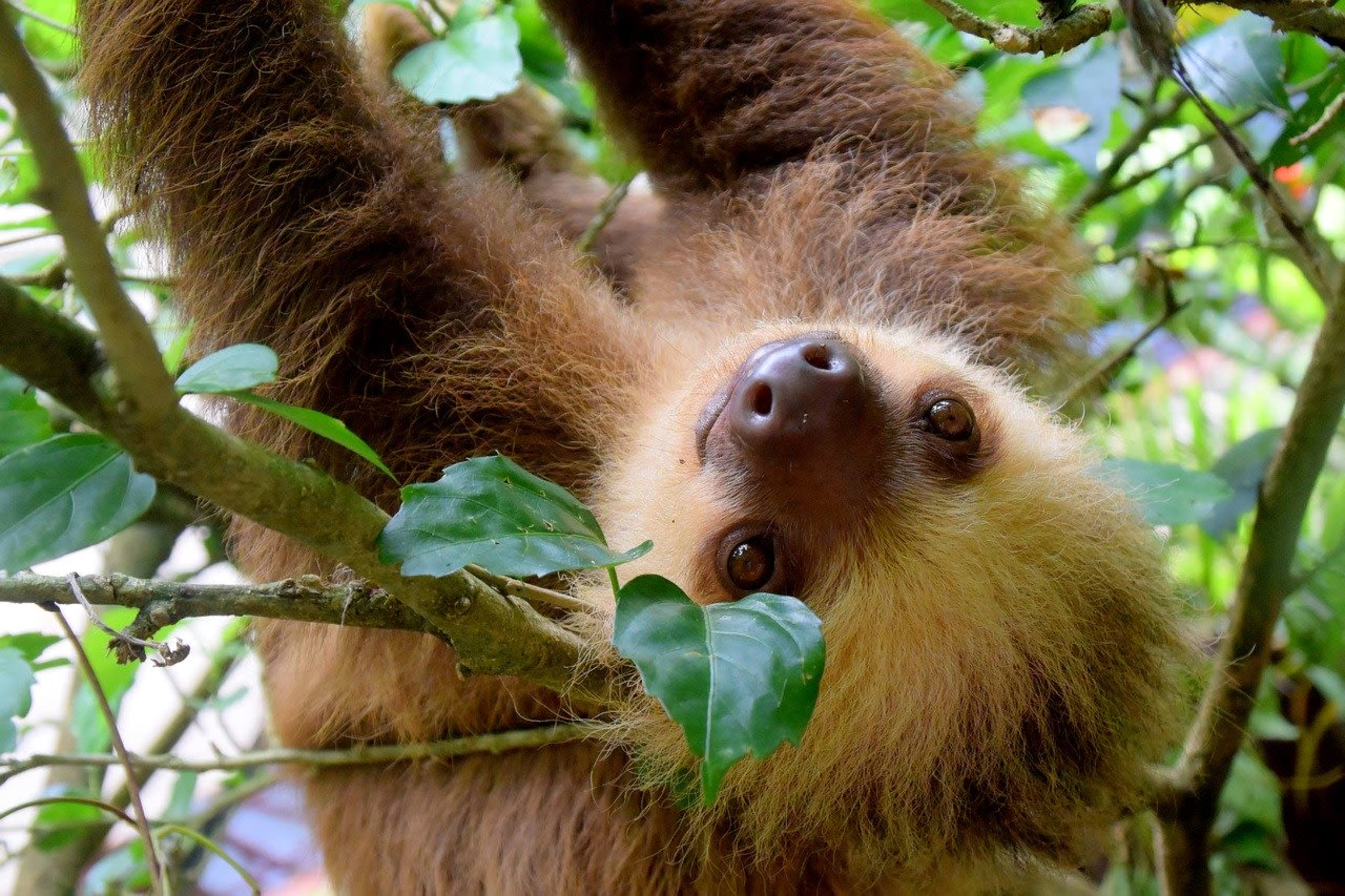 The Best Destinations Around the World for Your Family Adventure 