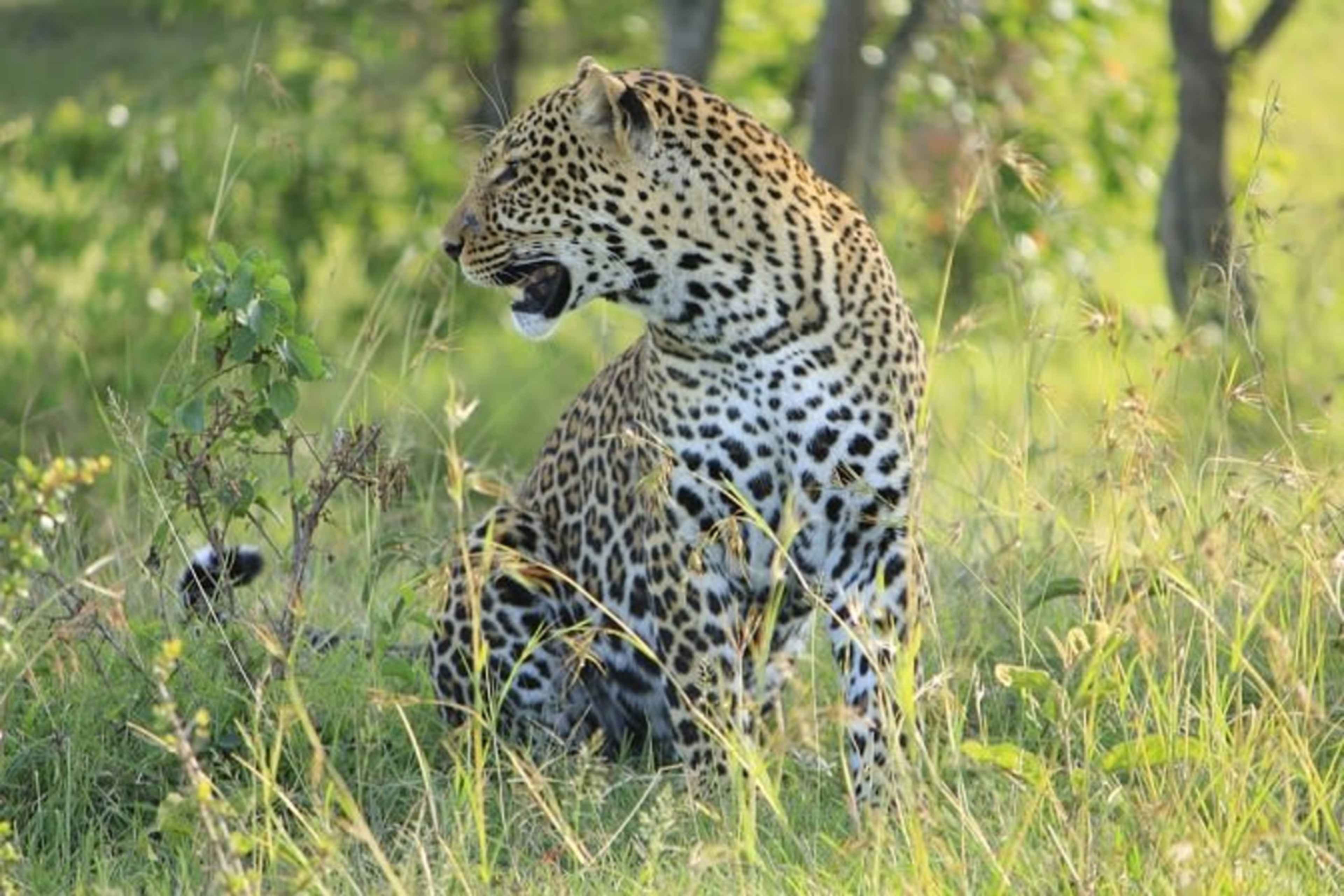 Kenya & Uganda: Gorillas & Big Five Adventure photo 9