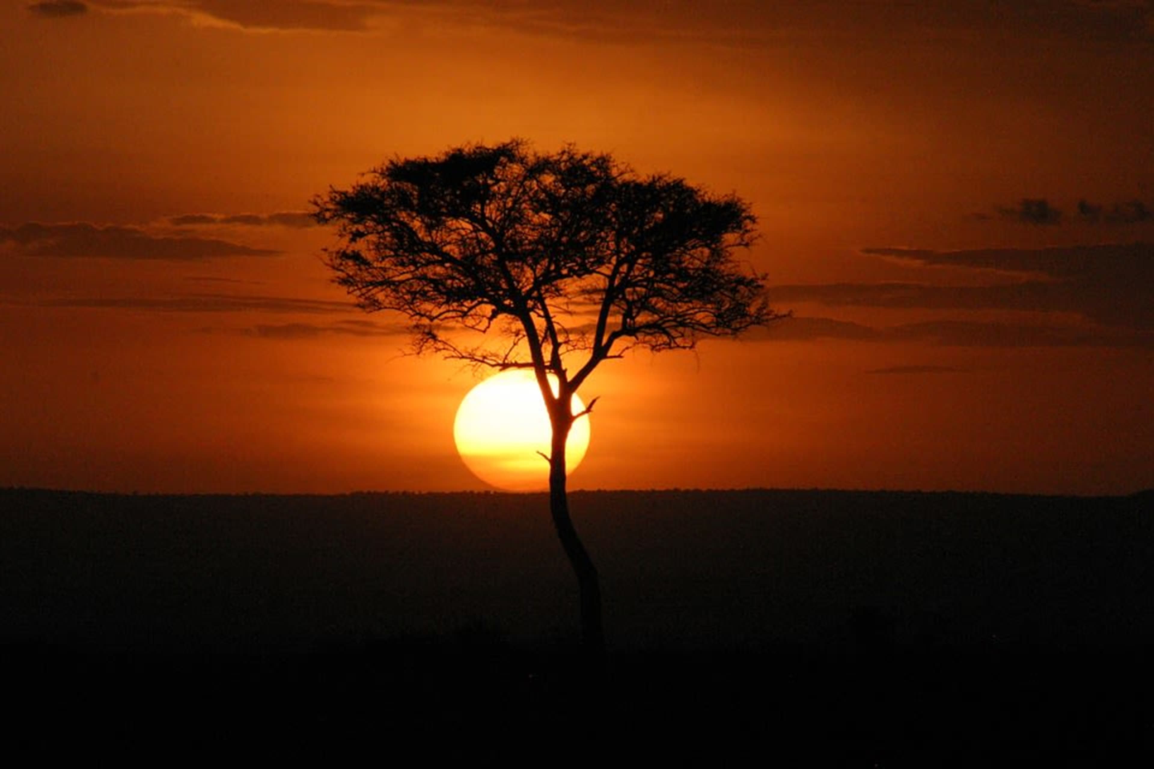 Kenya & Uganda: Gorillas & Big Five Adventure photo 5