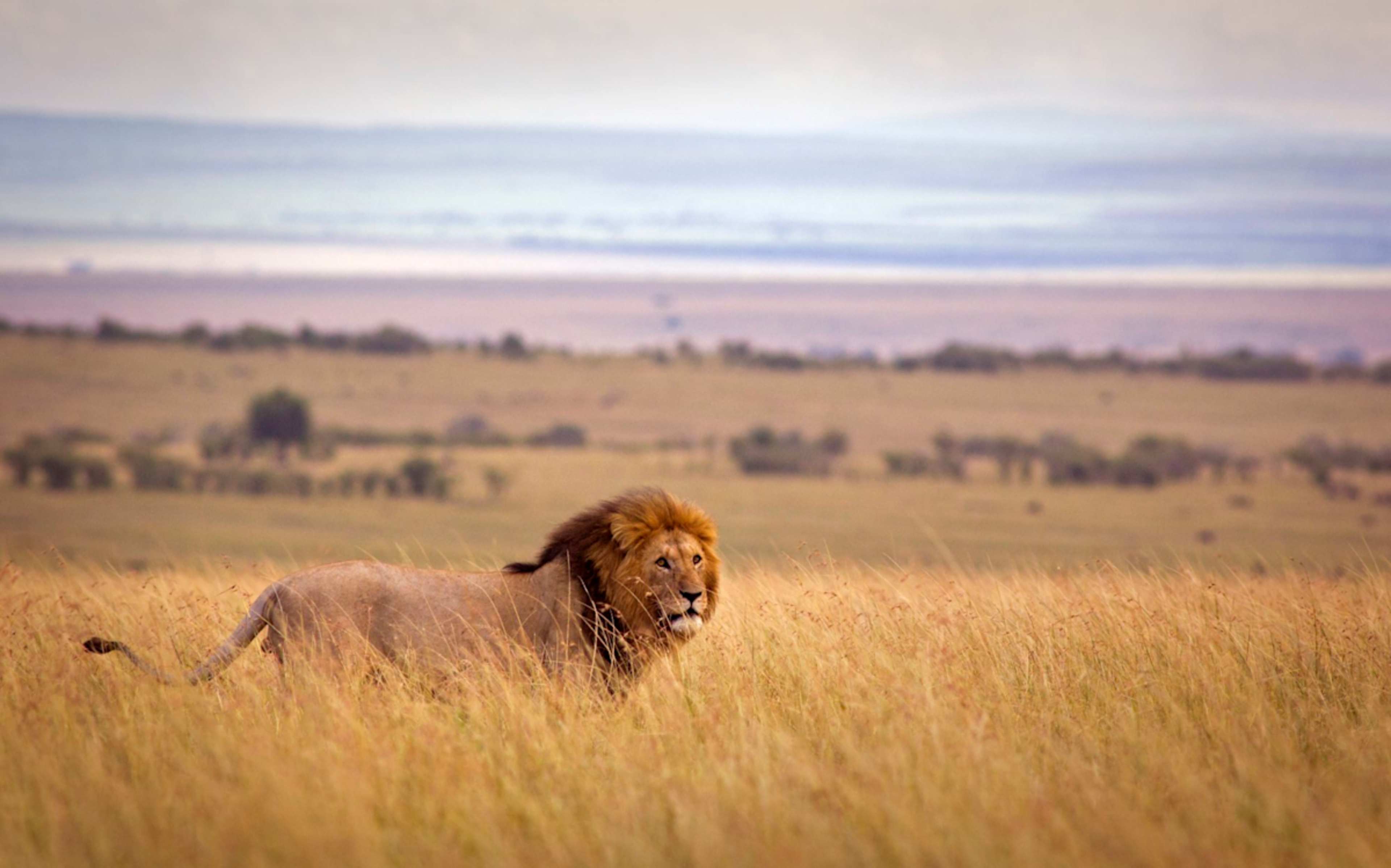 Egypt & Kenya: Ancient Pyramids & Big Five Safari photo 4