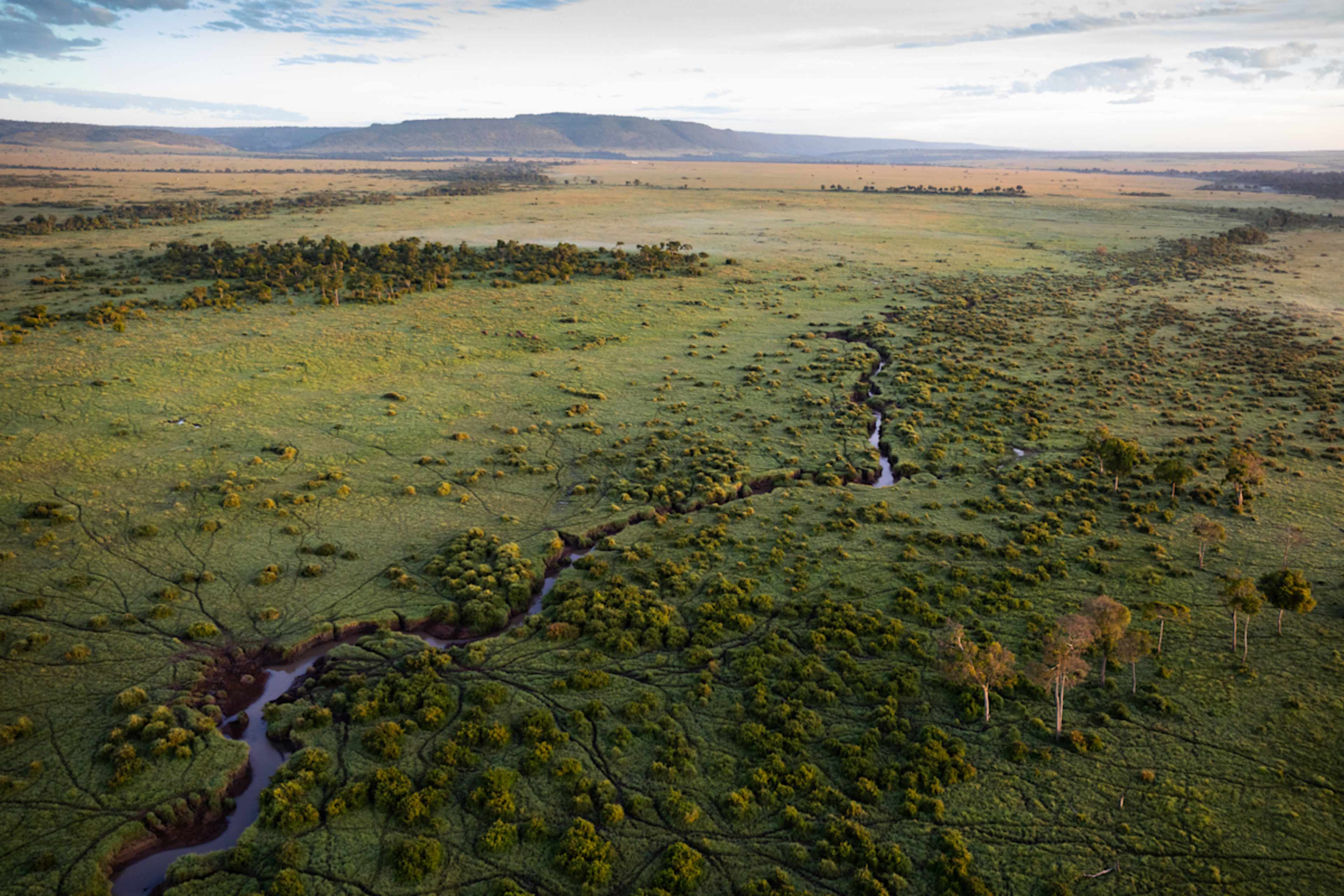 Kenya & Uganda: Gorillas & Big Five Adventure photo 4