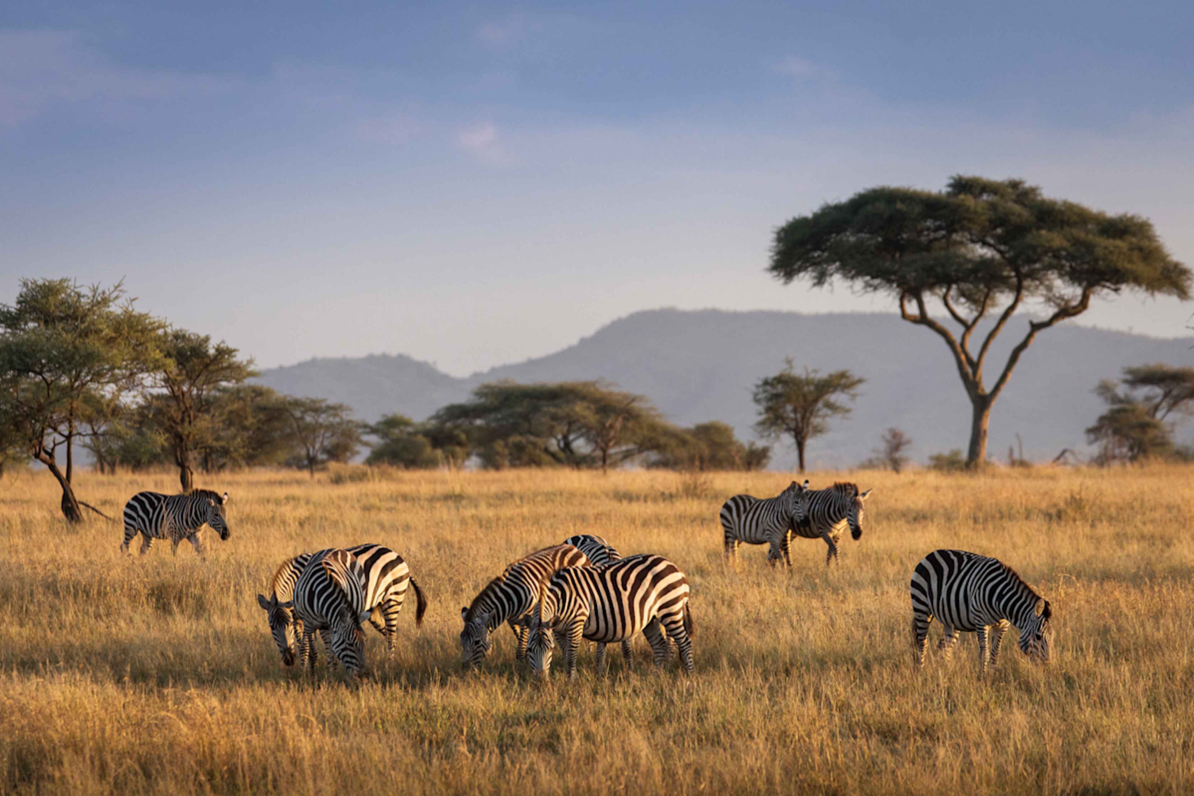 Uncharted Tanzania: North to South Safari photo 1