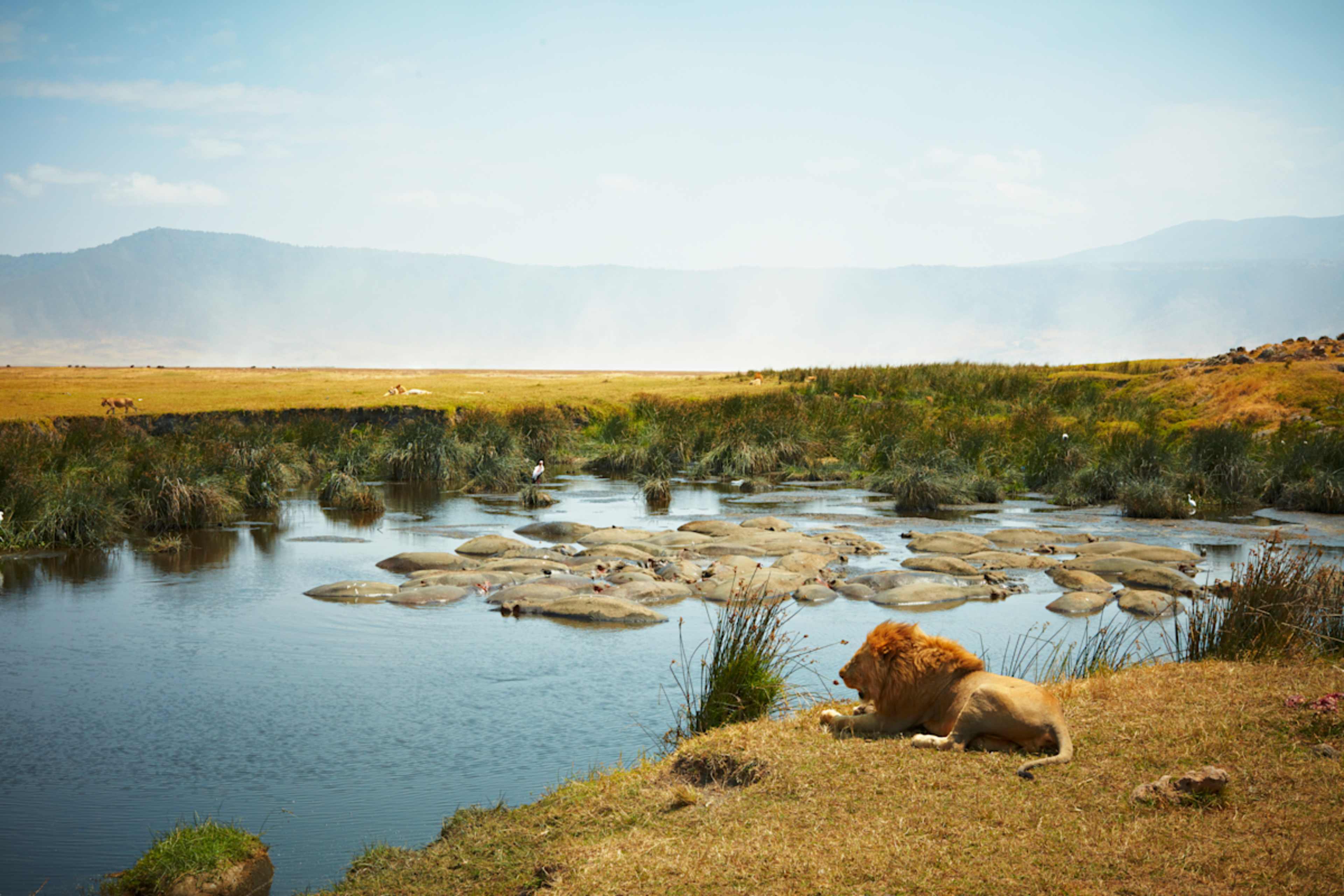 Kilimanjaro Climb & Serengeti Safari photo 3