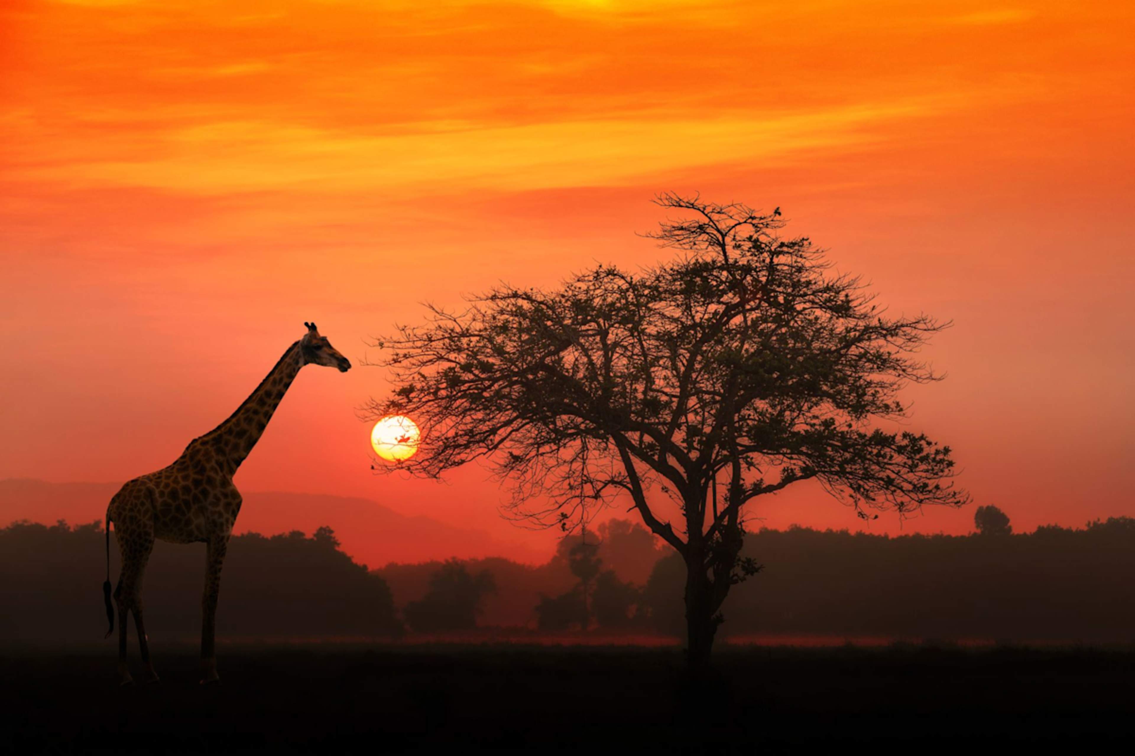 South Africa Culture & Cuisine photo 5