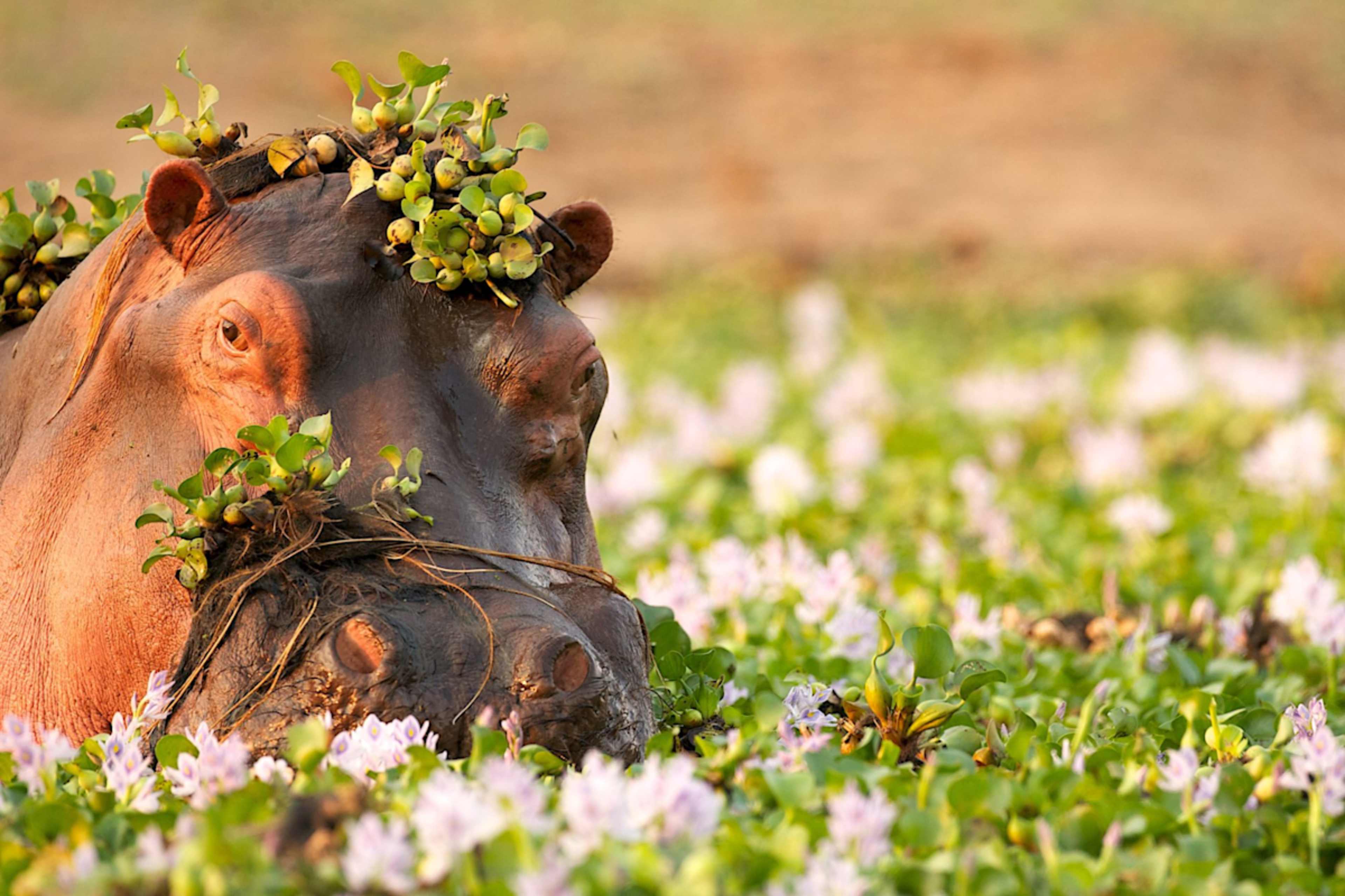 Best of Southern Africa photo 6