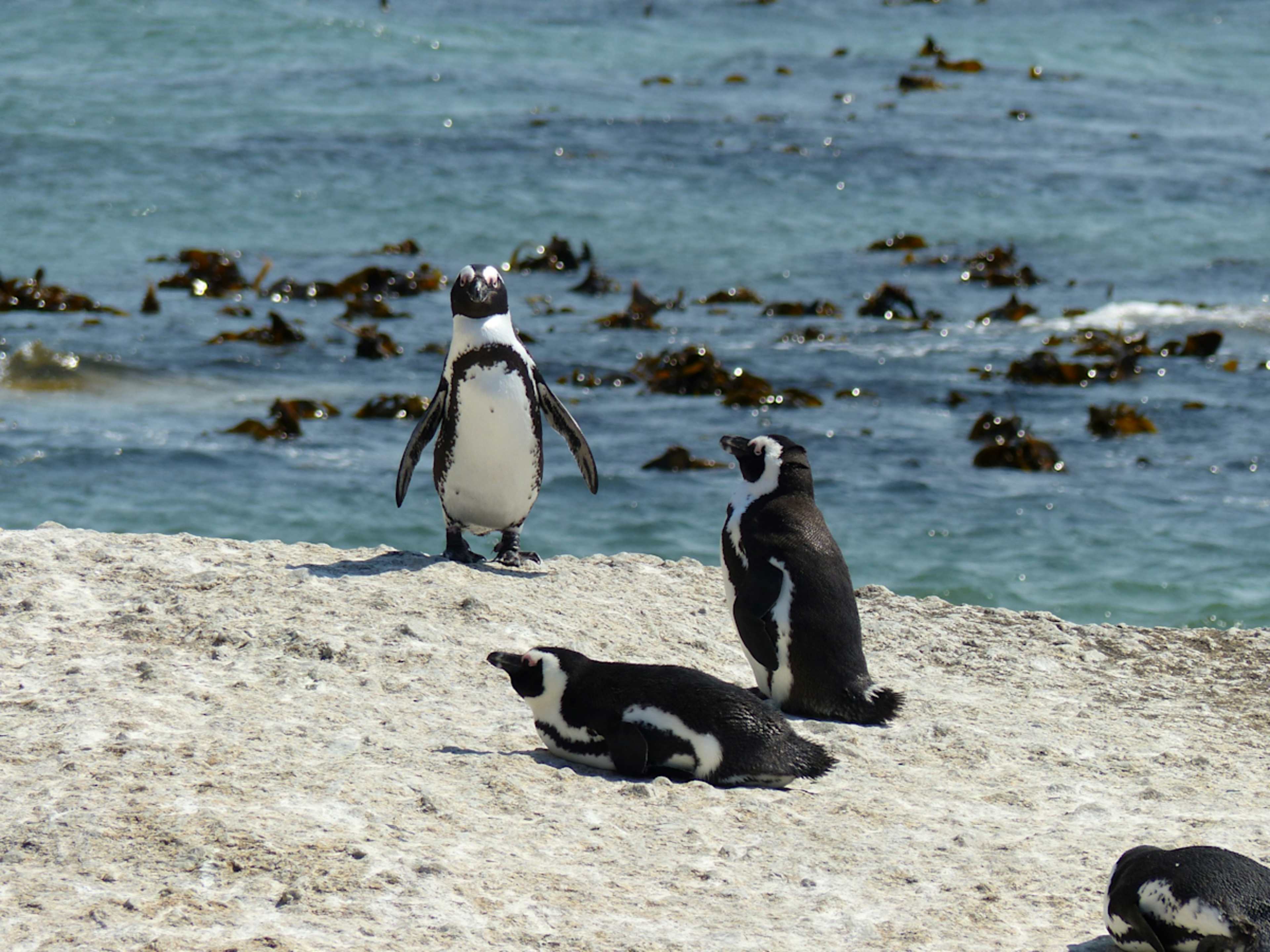 Best of Southern Africa photo 2