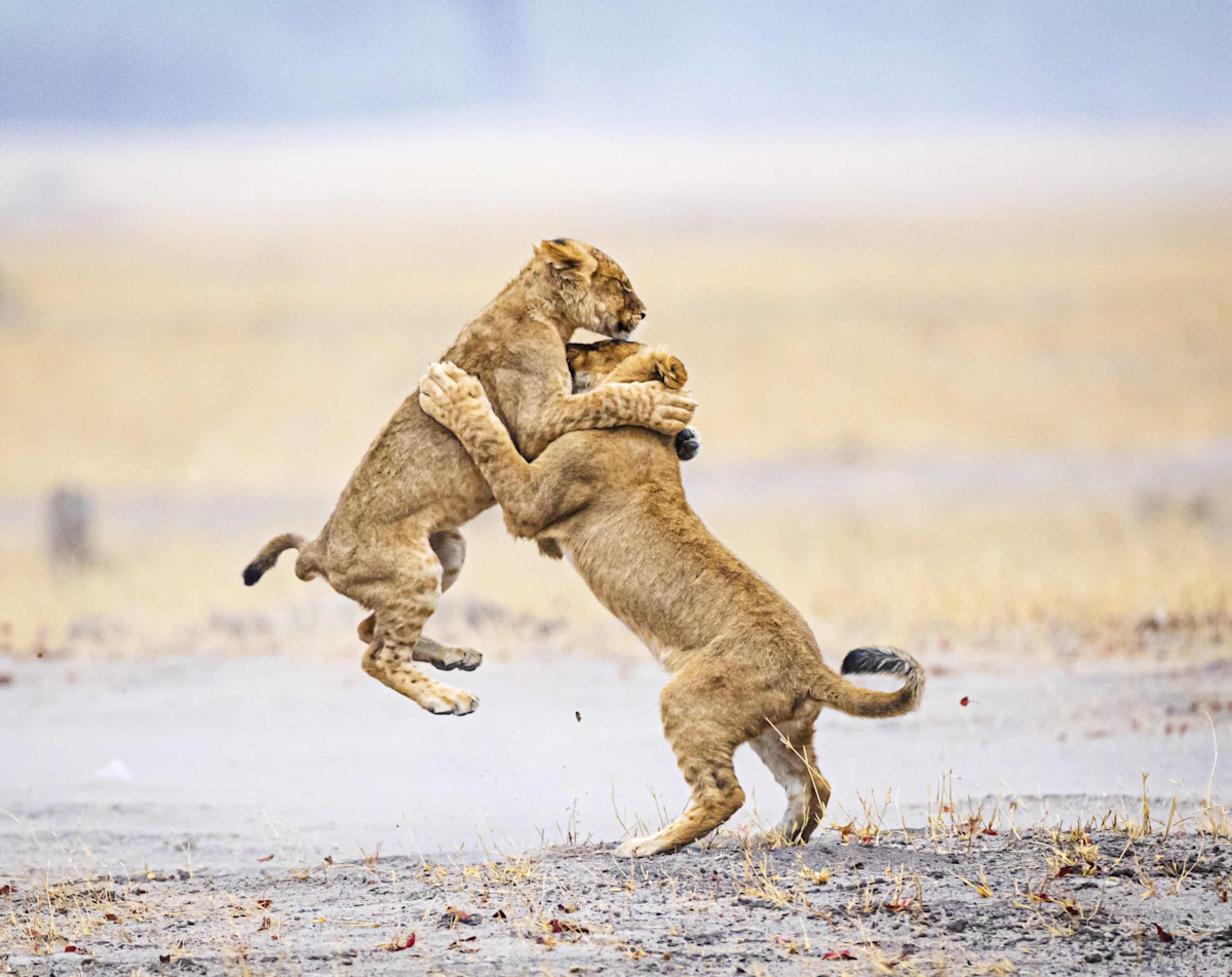 Best of Southern Africa photo 5