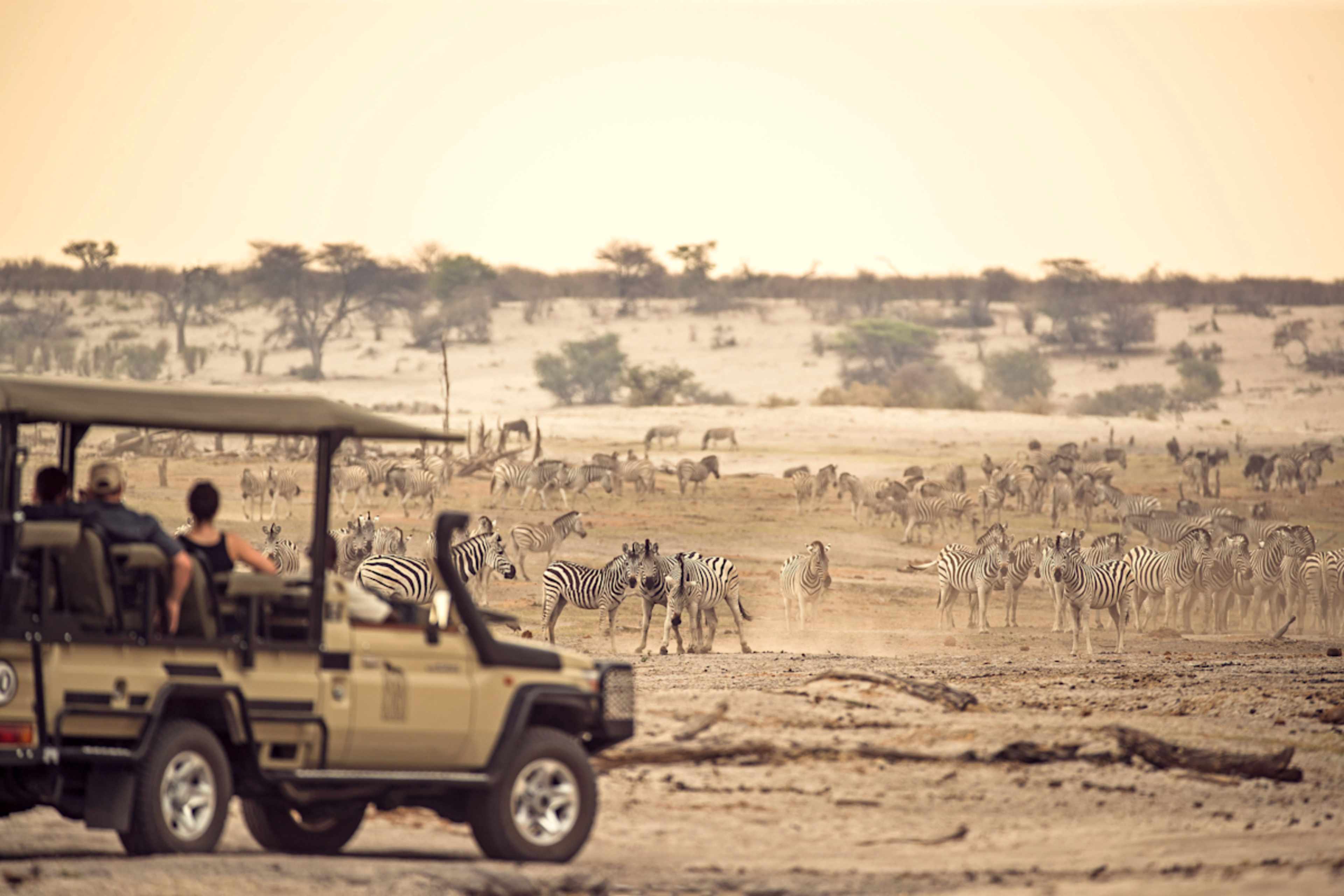 Wild Botswana: Zebra Migration & Okavango Safari photo 1