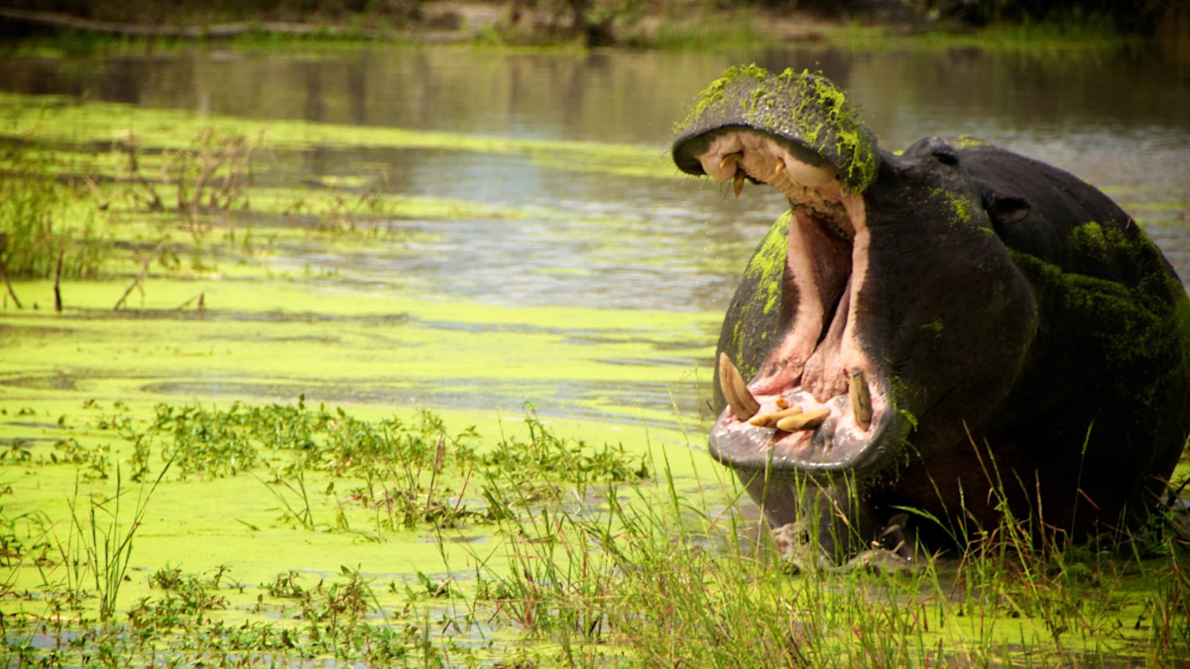 Wild Frontiers of Botswana & Namibia photo 4