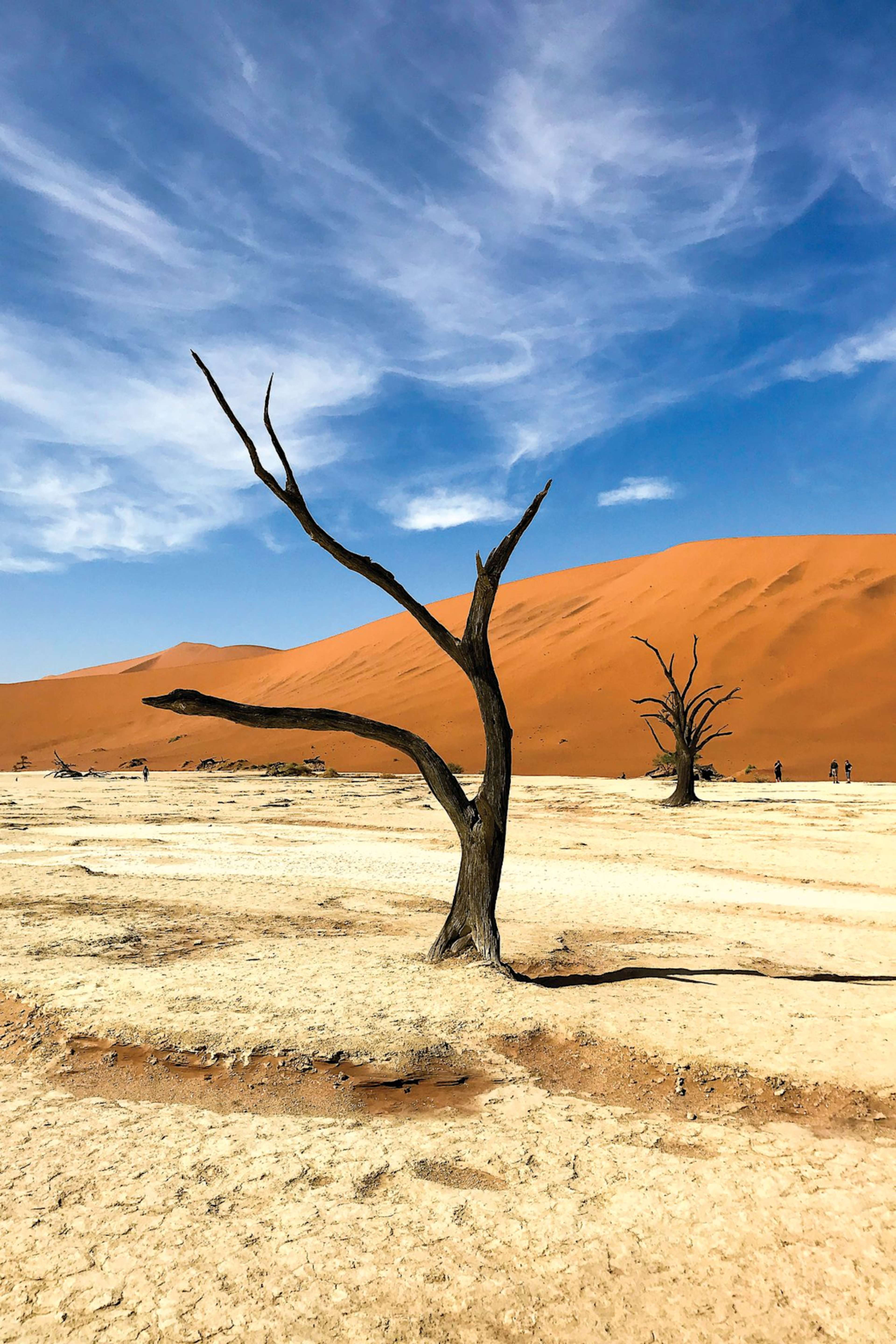 Best of Namibia photo 2