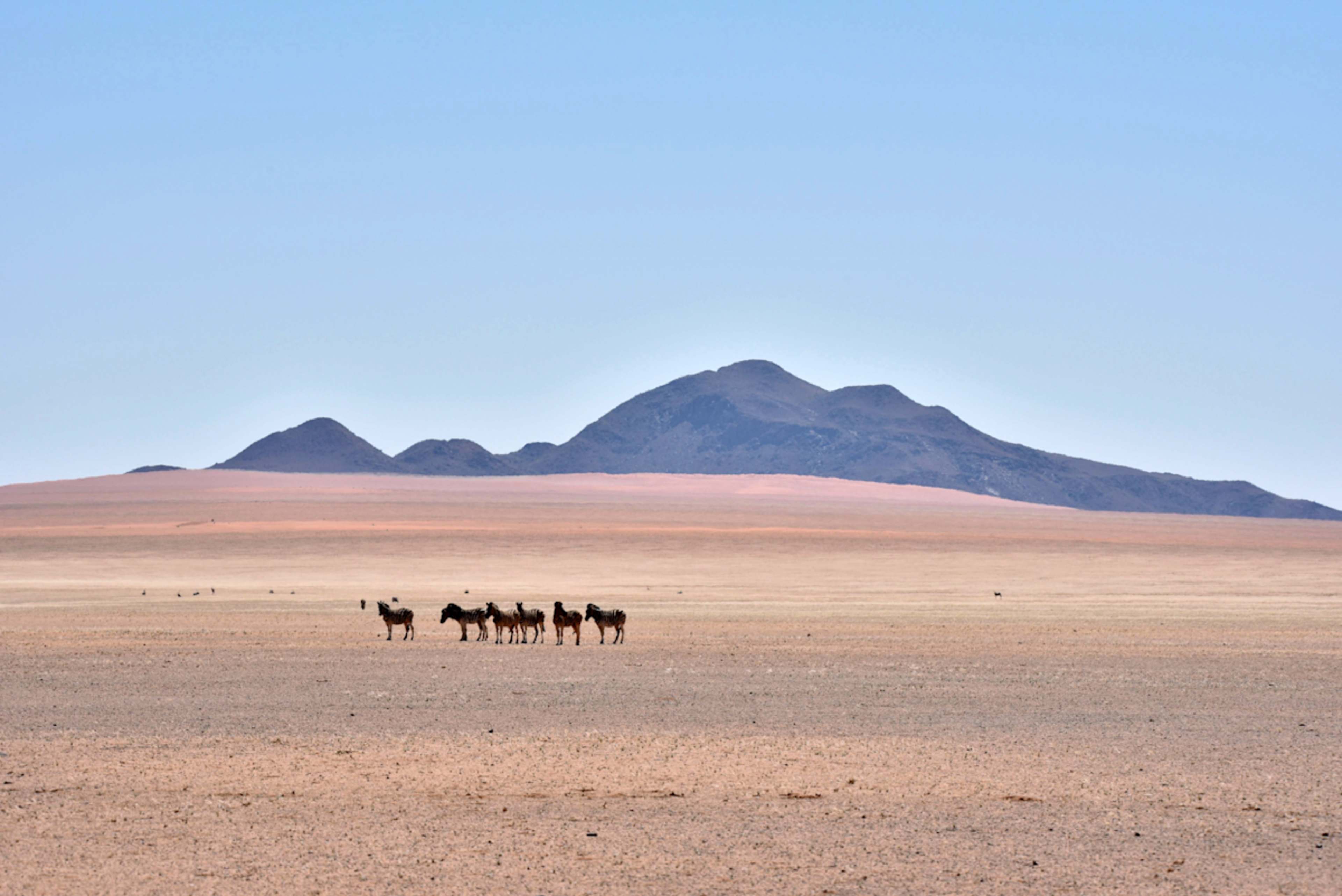 Namibia Highlights photo 3