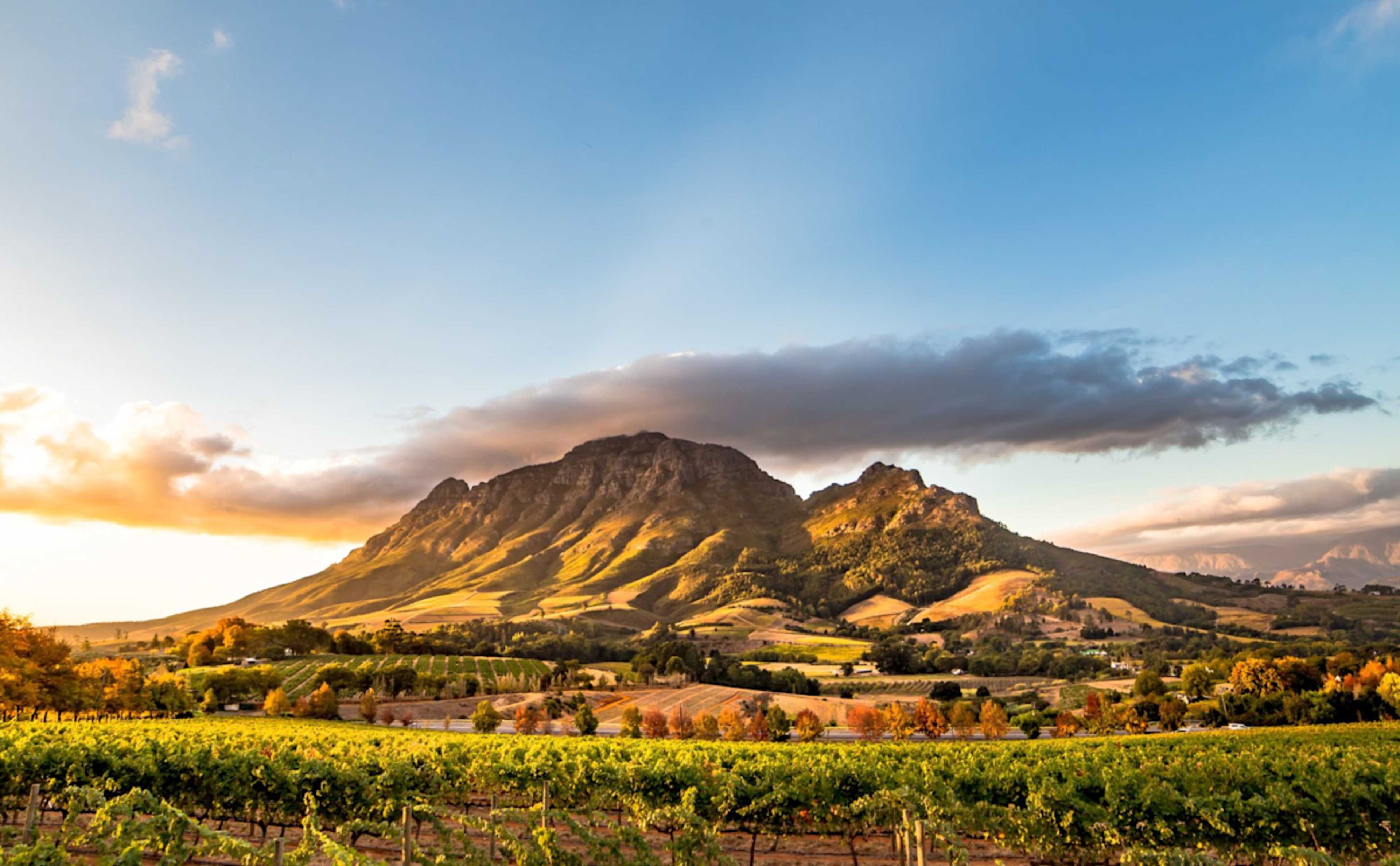 South Africa Culture & Cuisine photo 4