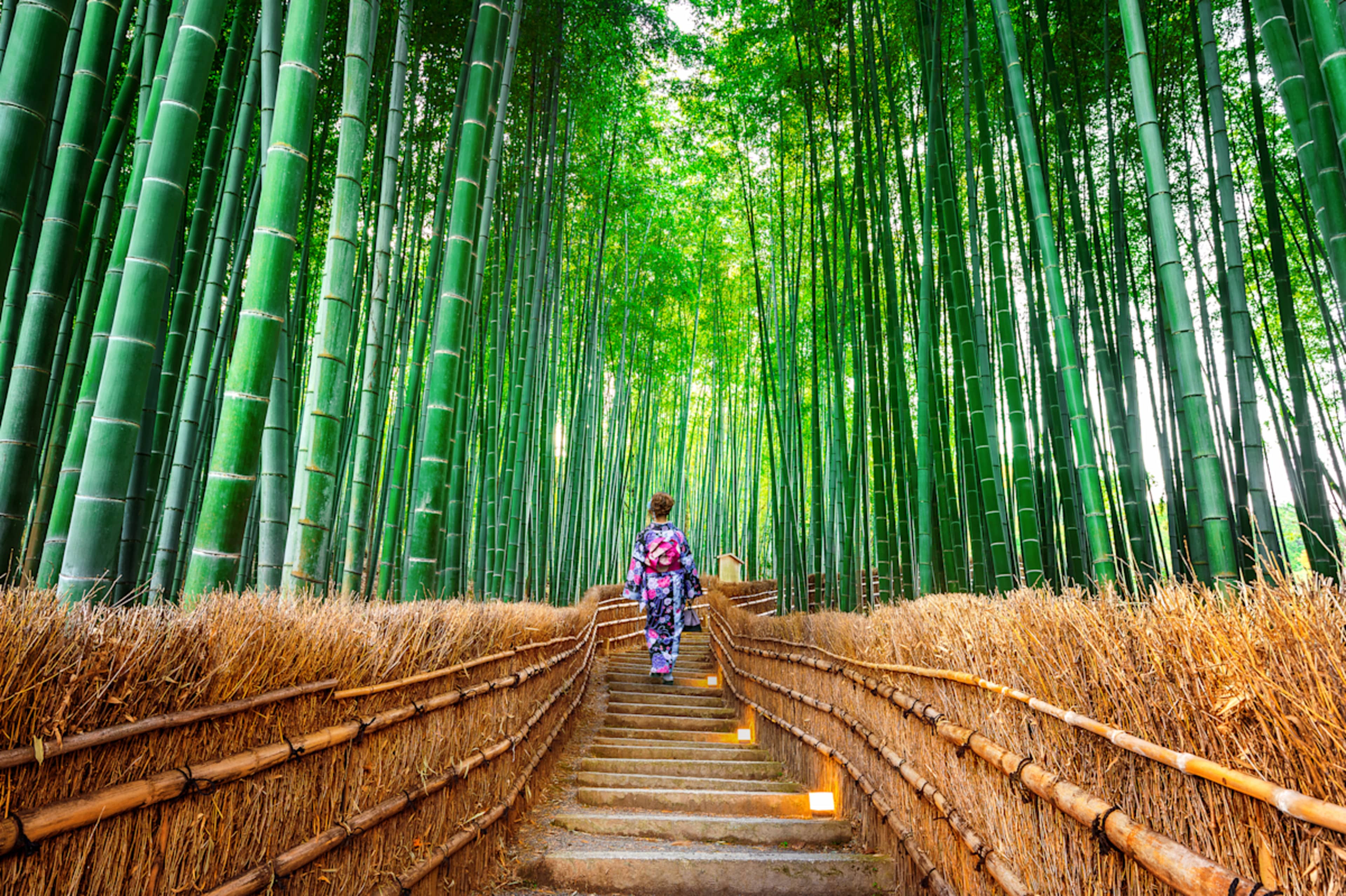 Japan Unplugged: Pop Culture & Cuisine photo 5