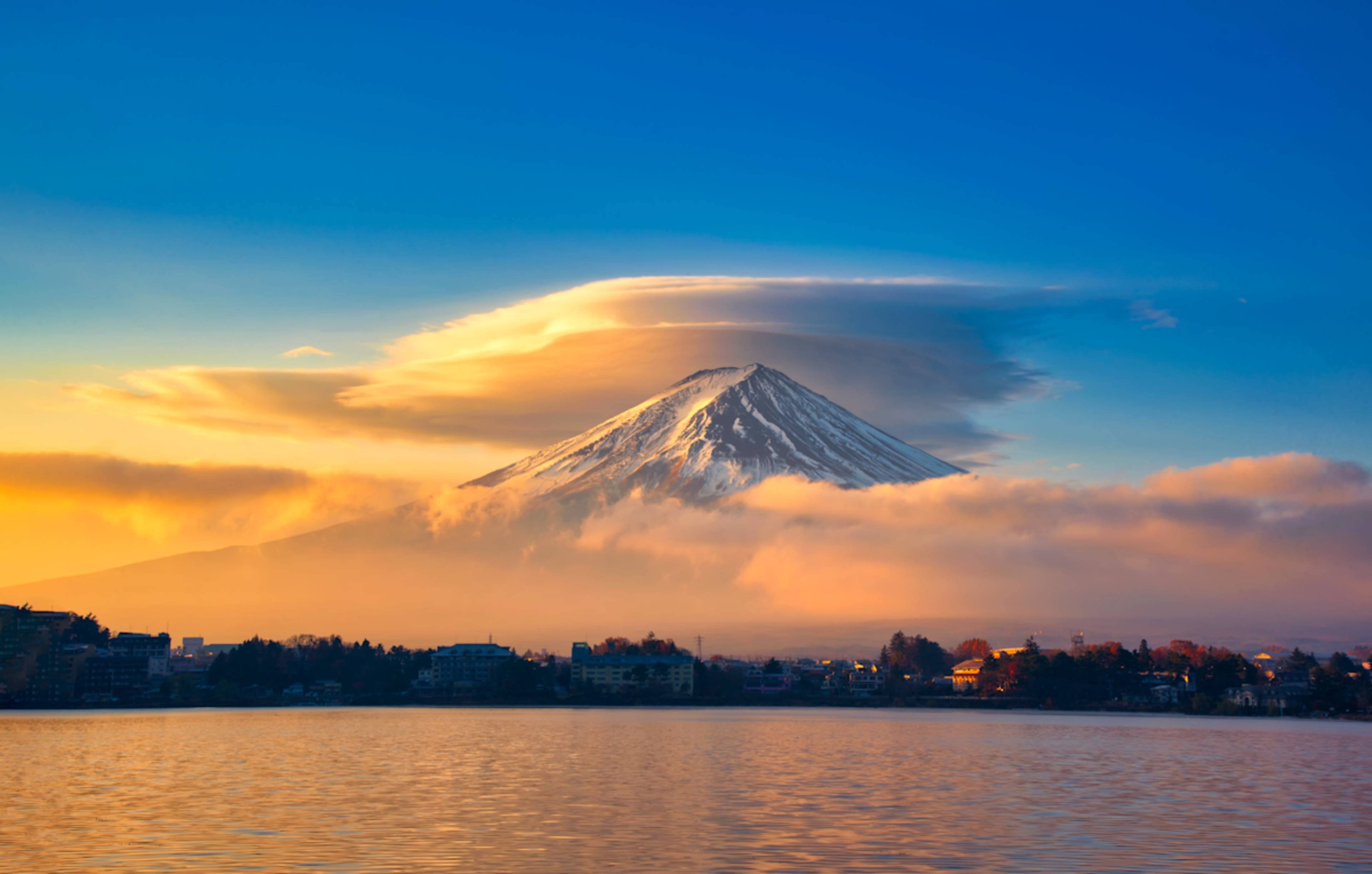 Japan Winter Escape: Shrines & Snow Monkeys photo 6