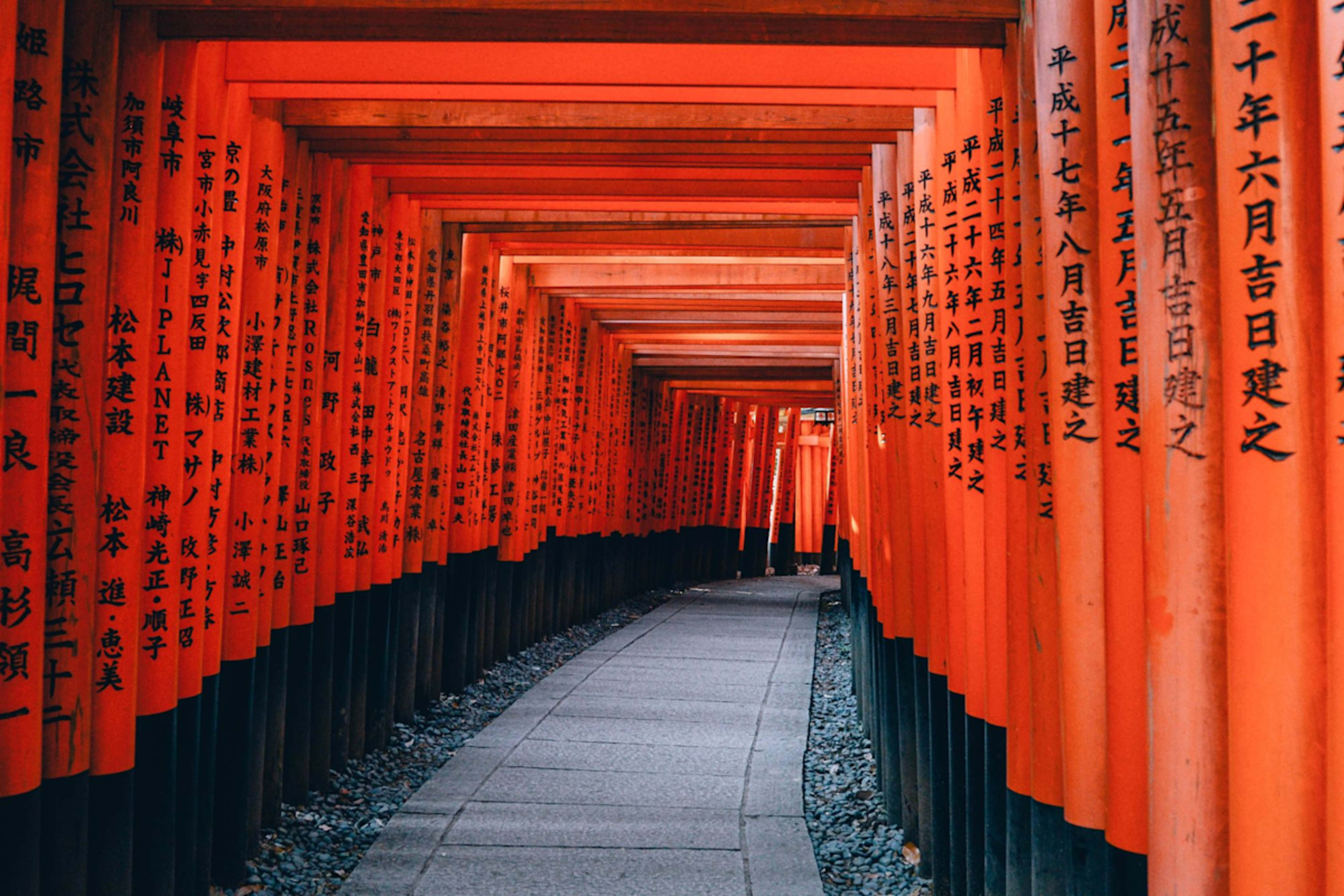 Essential Japan Discovery photo 6