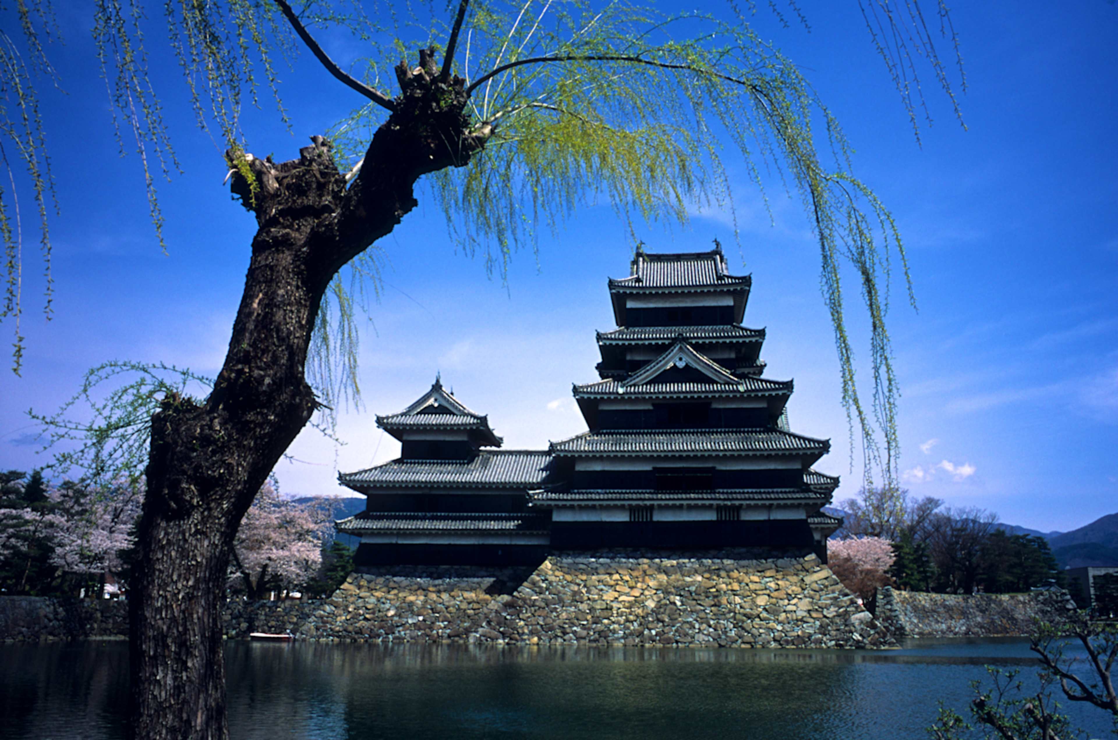 Japan Winter Escape: Shrines & Snow Monkeys photo 5