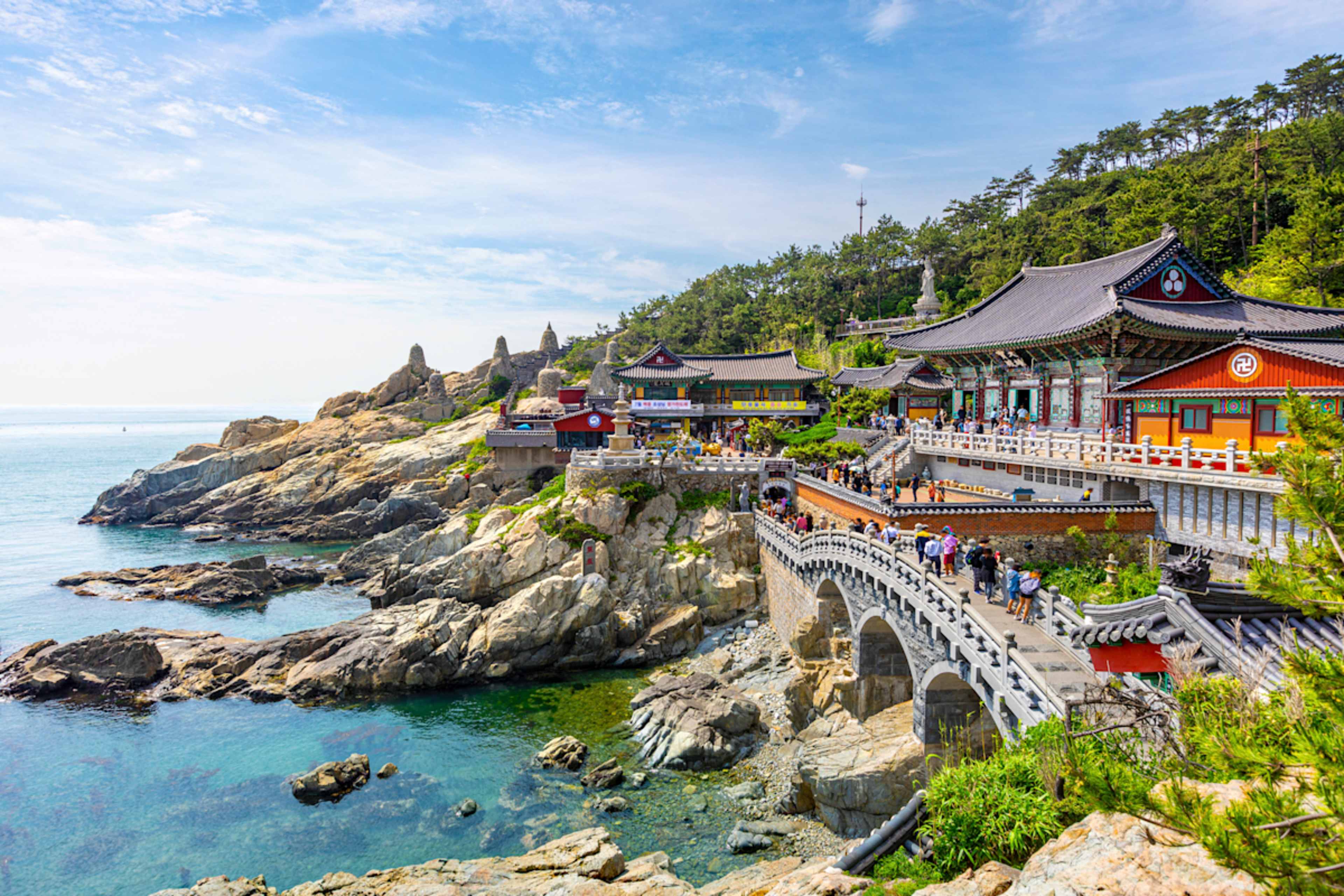 South Korea: Cherry Blossom Edition photo 3
