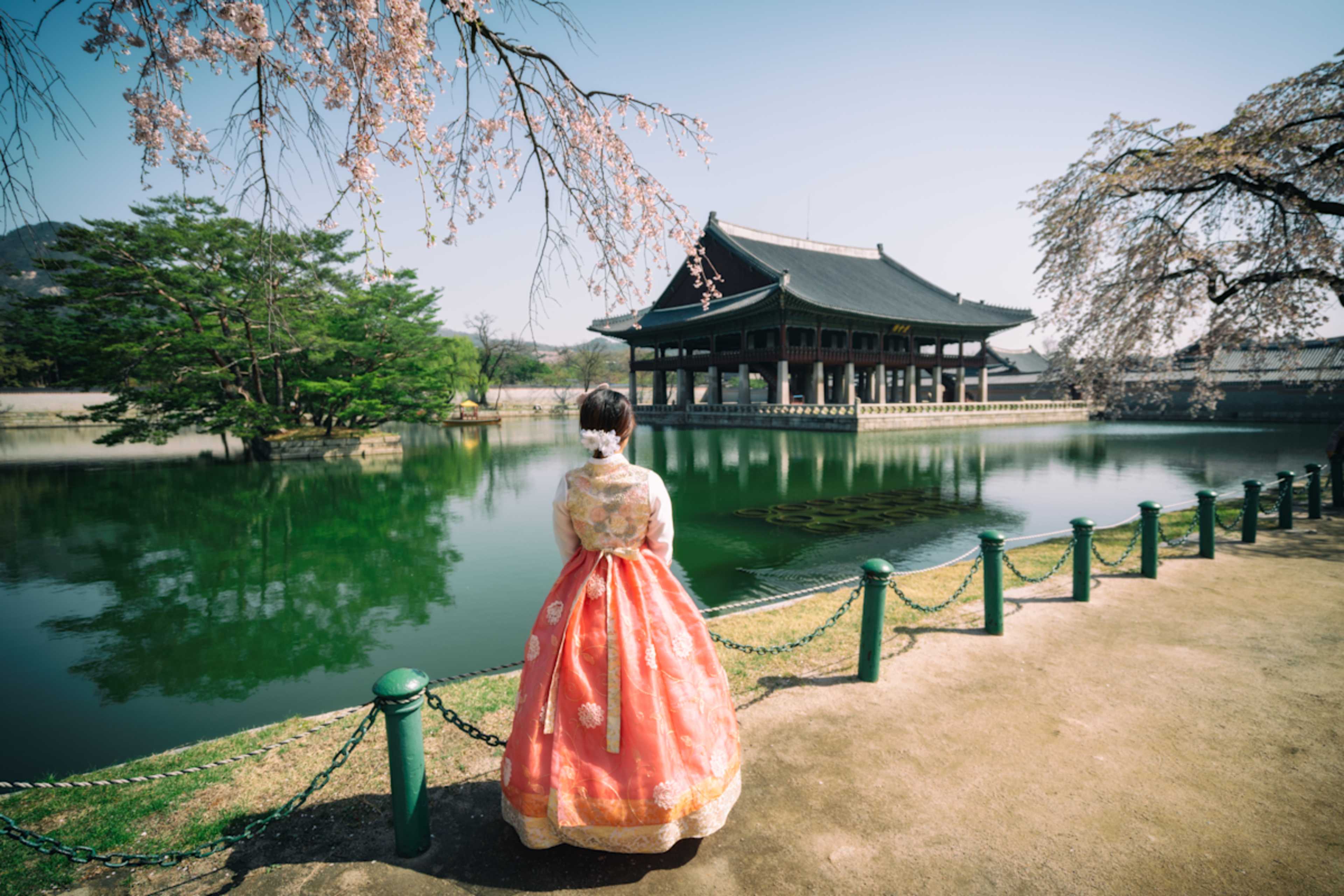 South Korea: Cherry Blossom Edition photo 2