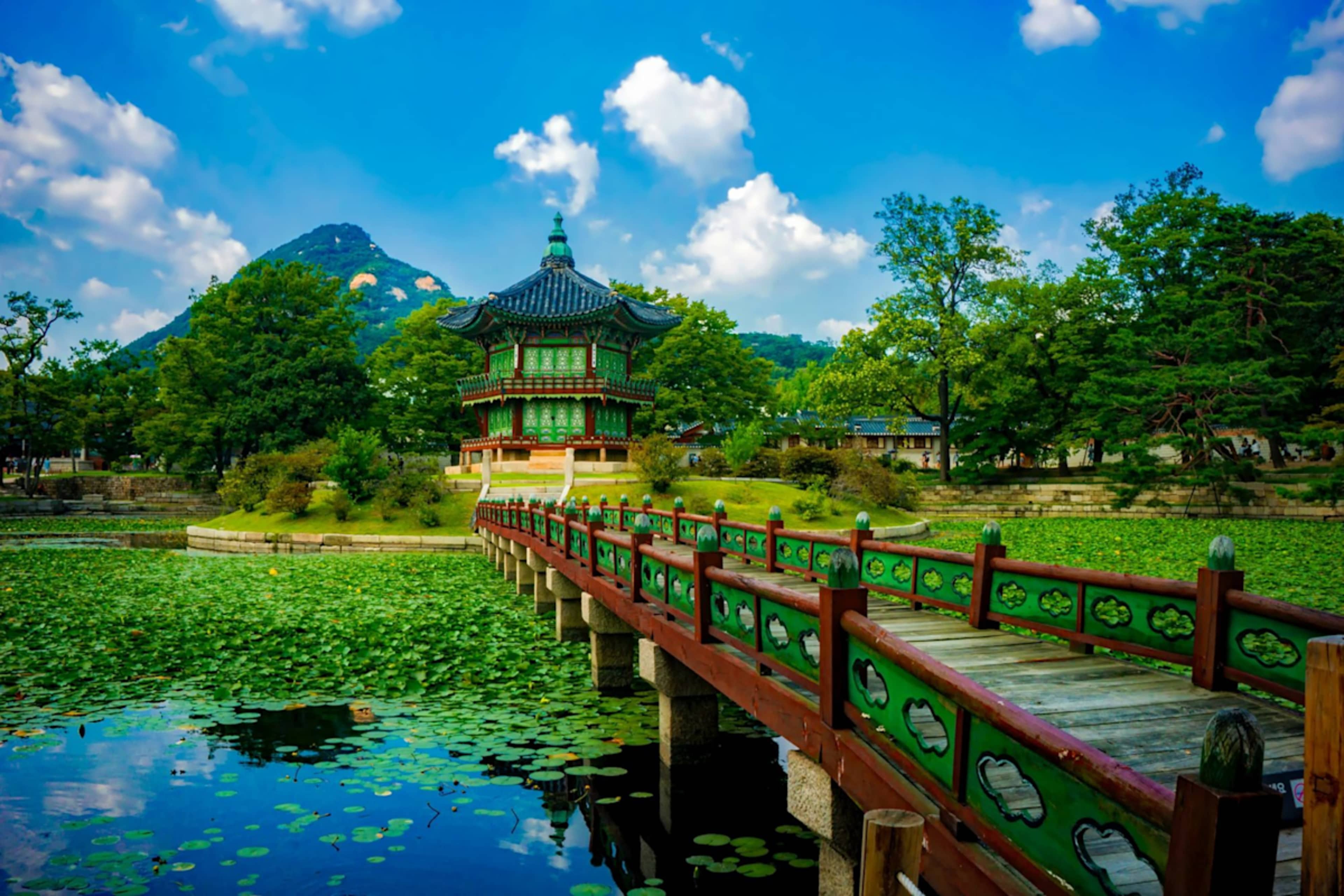 South Korea Signature photo 5