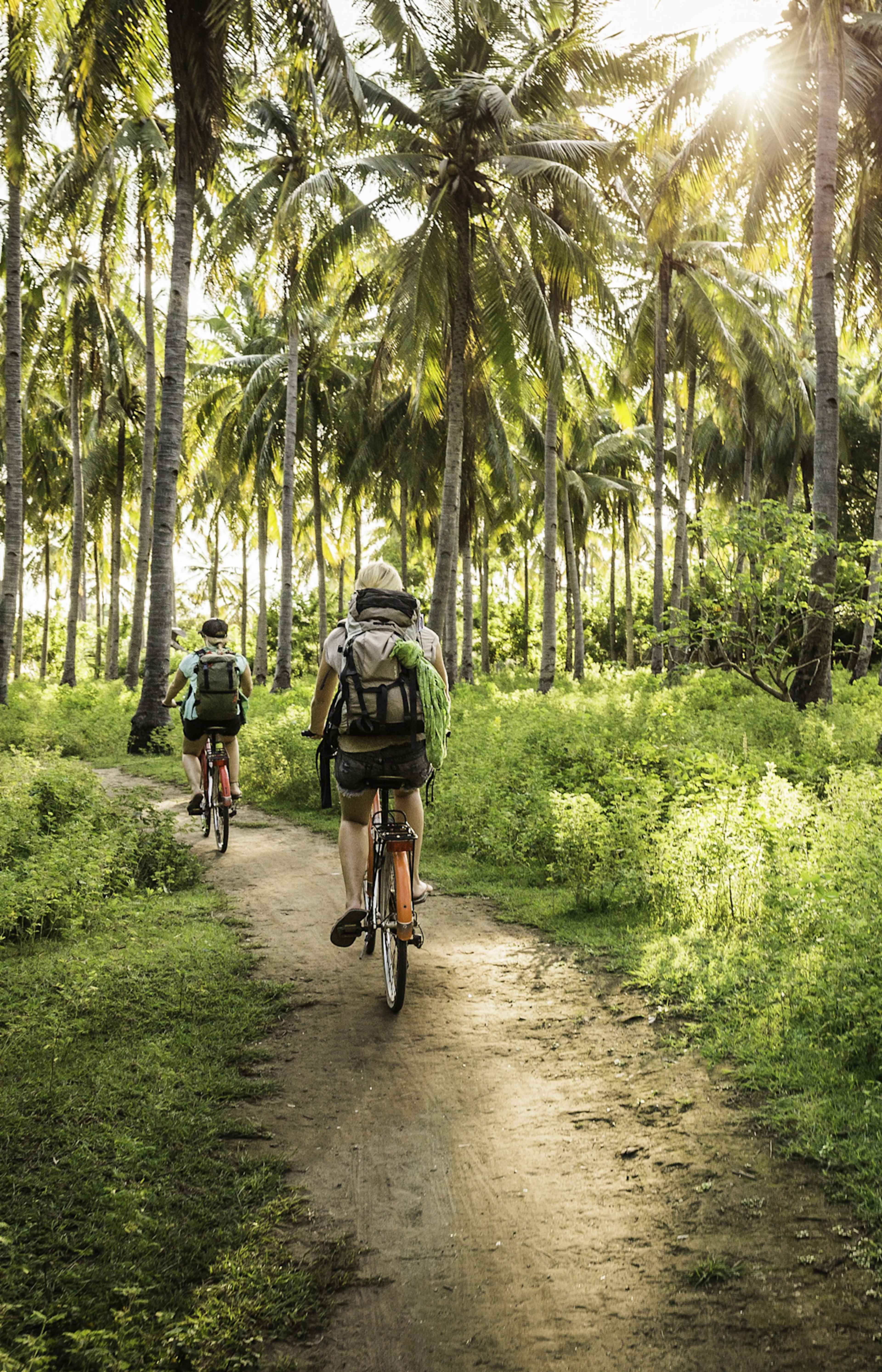 Islands and Jungles: Best of Bali & Lombok photo 2
