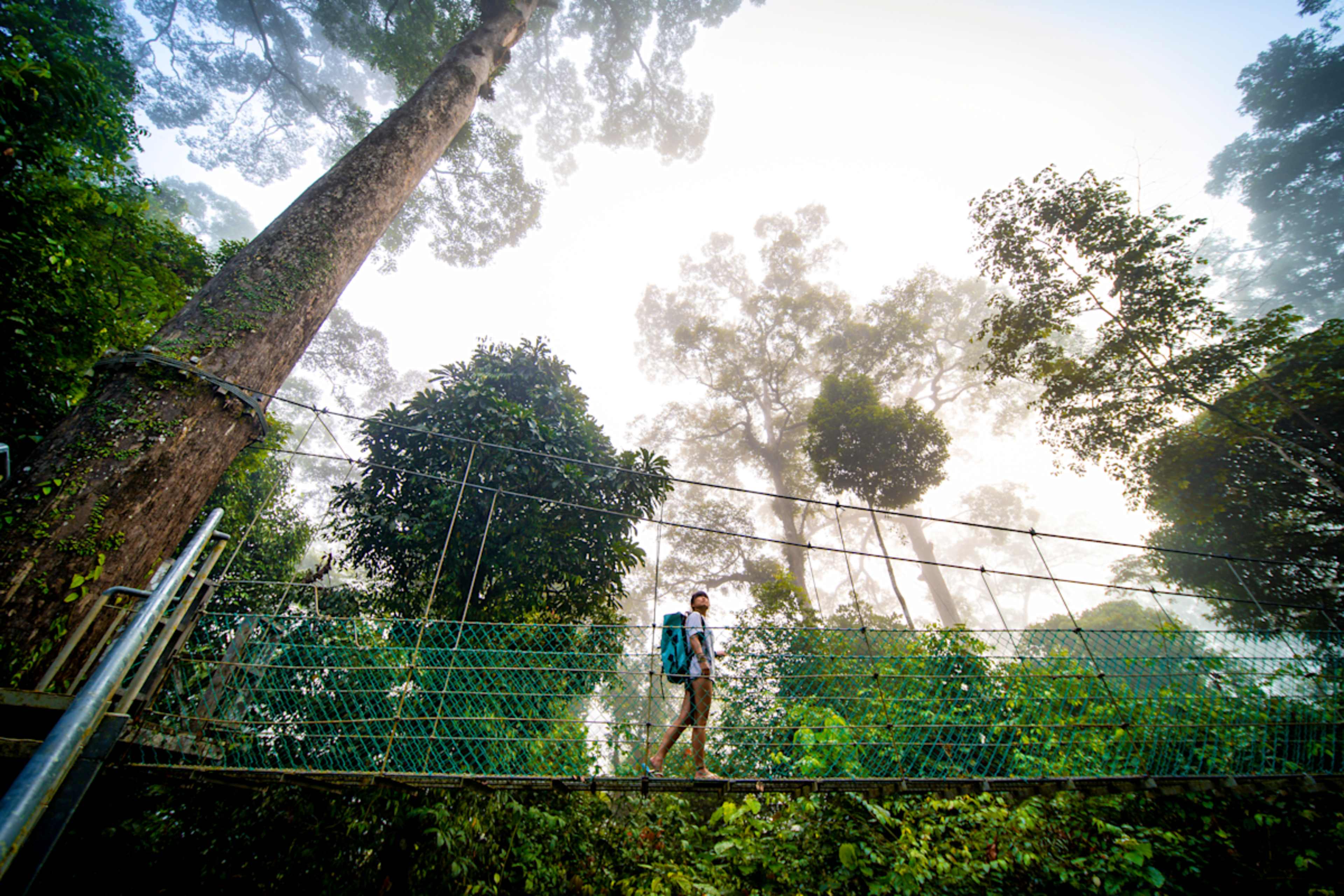 Wildlife Wonders of Malaysia photo 1