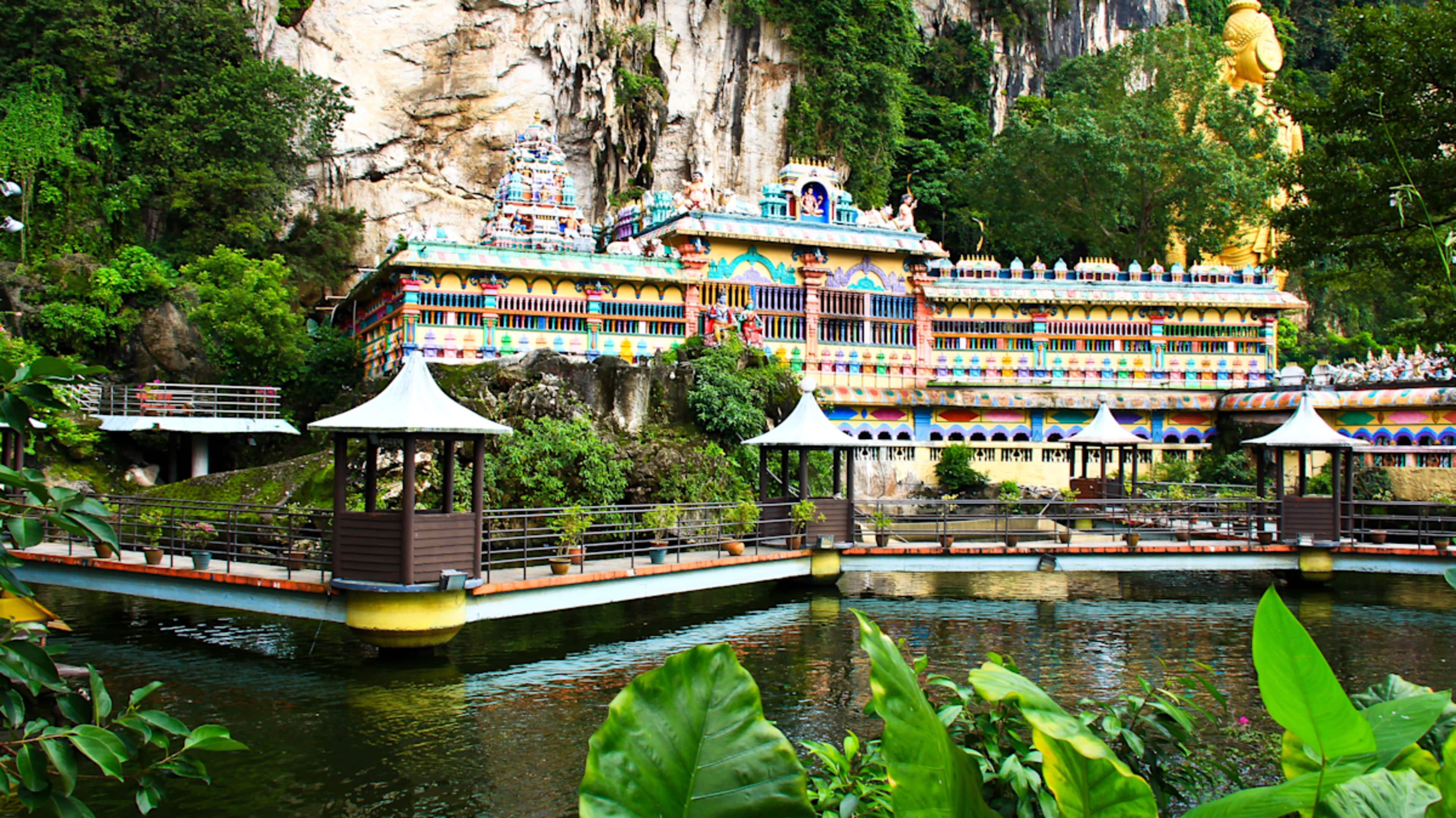 Wildlife Wonders of Malaysia photo 3