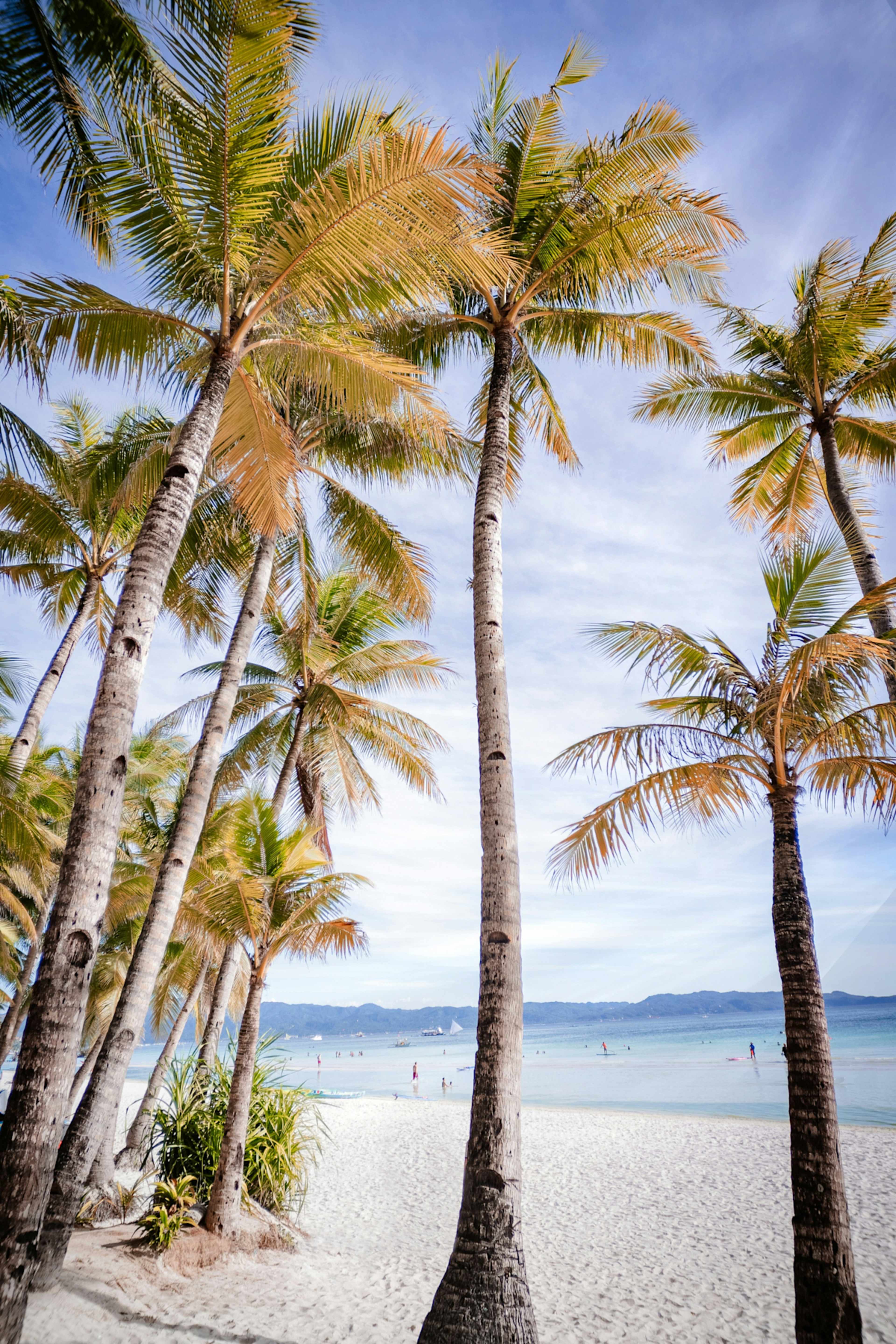 Philippines Island Hopping photo 2