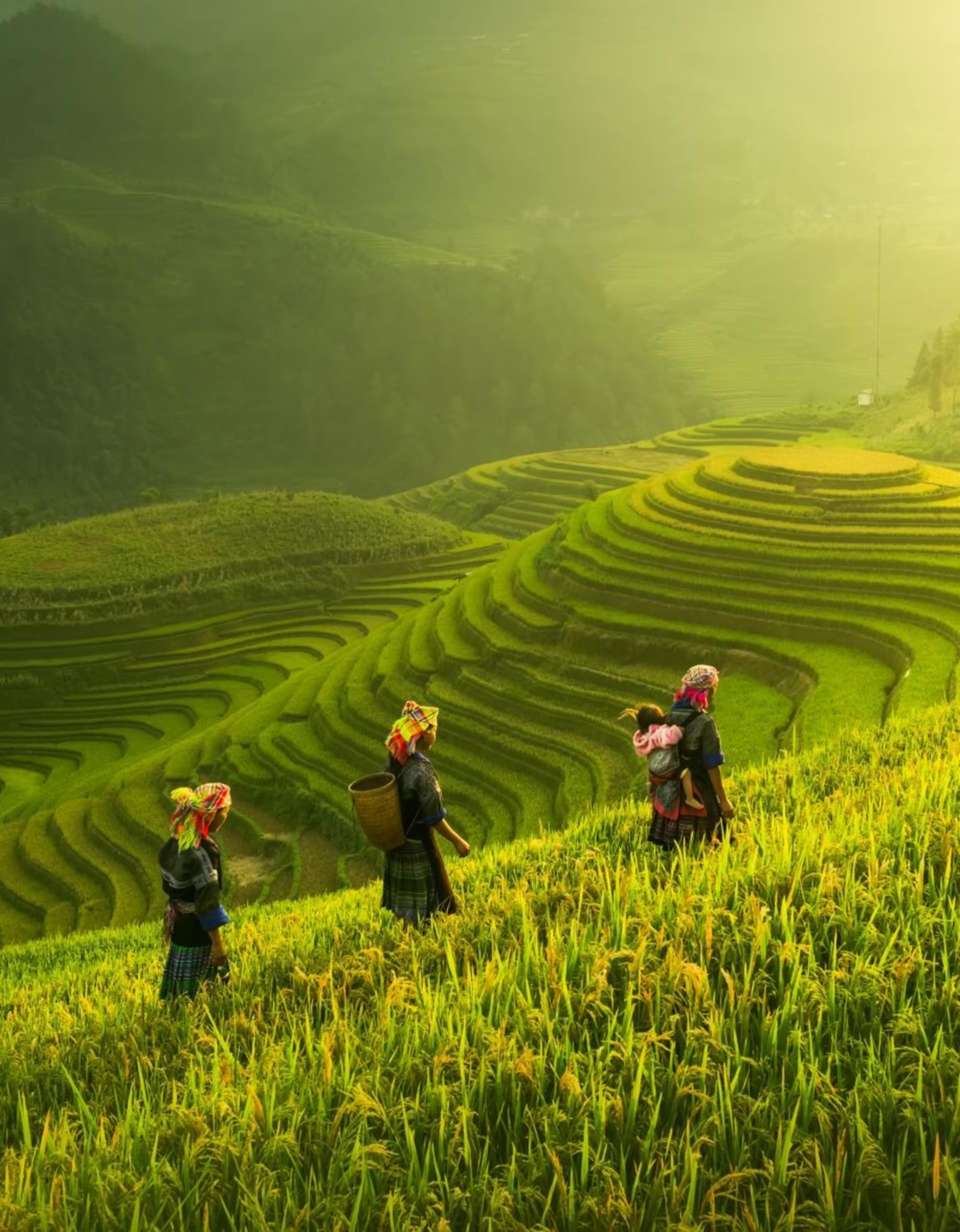 Vietnam, Cambodia & Thailand Signature photo 3