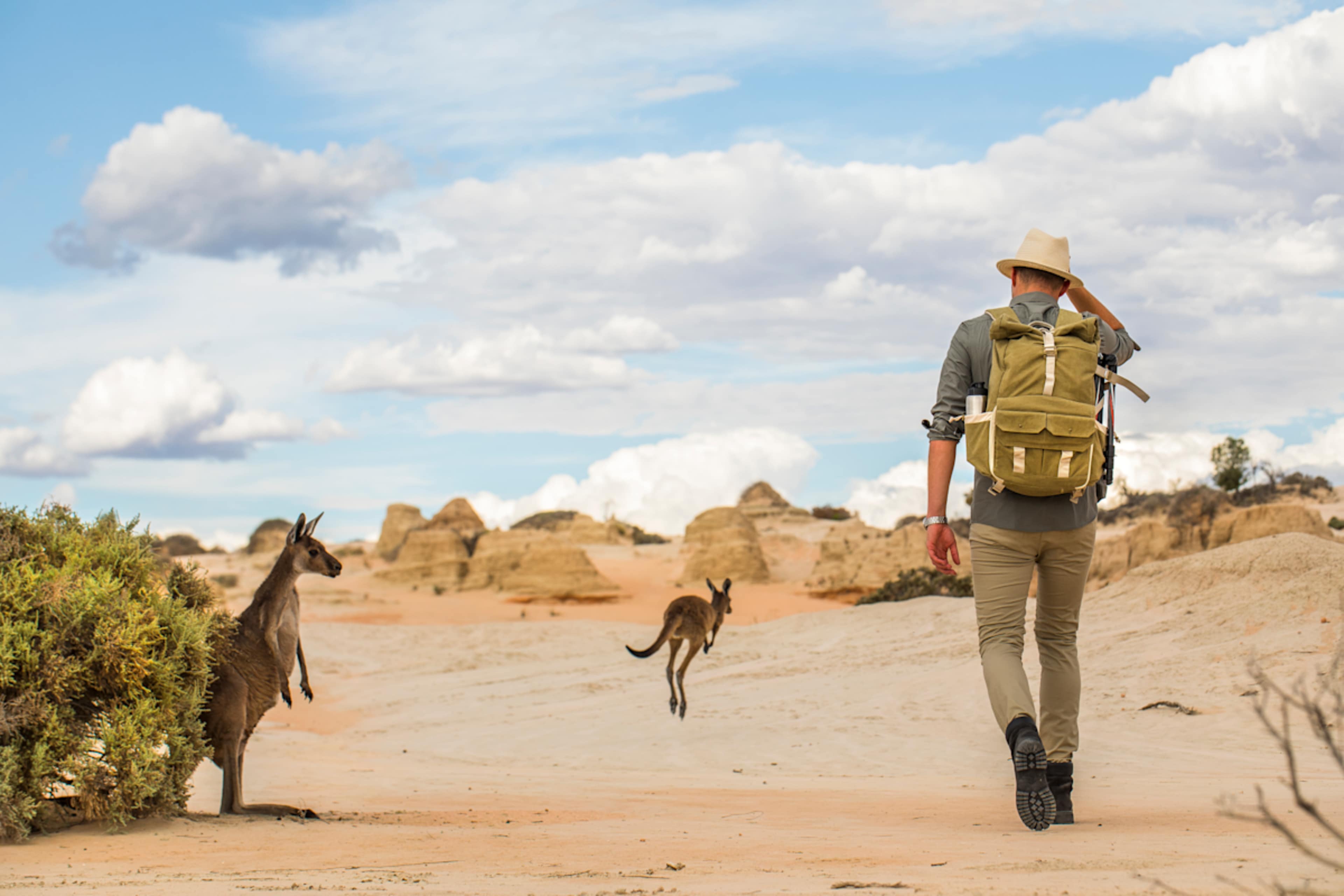 Australian Outback, Wine & Rail photo 2