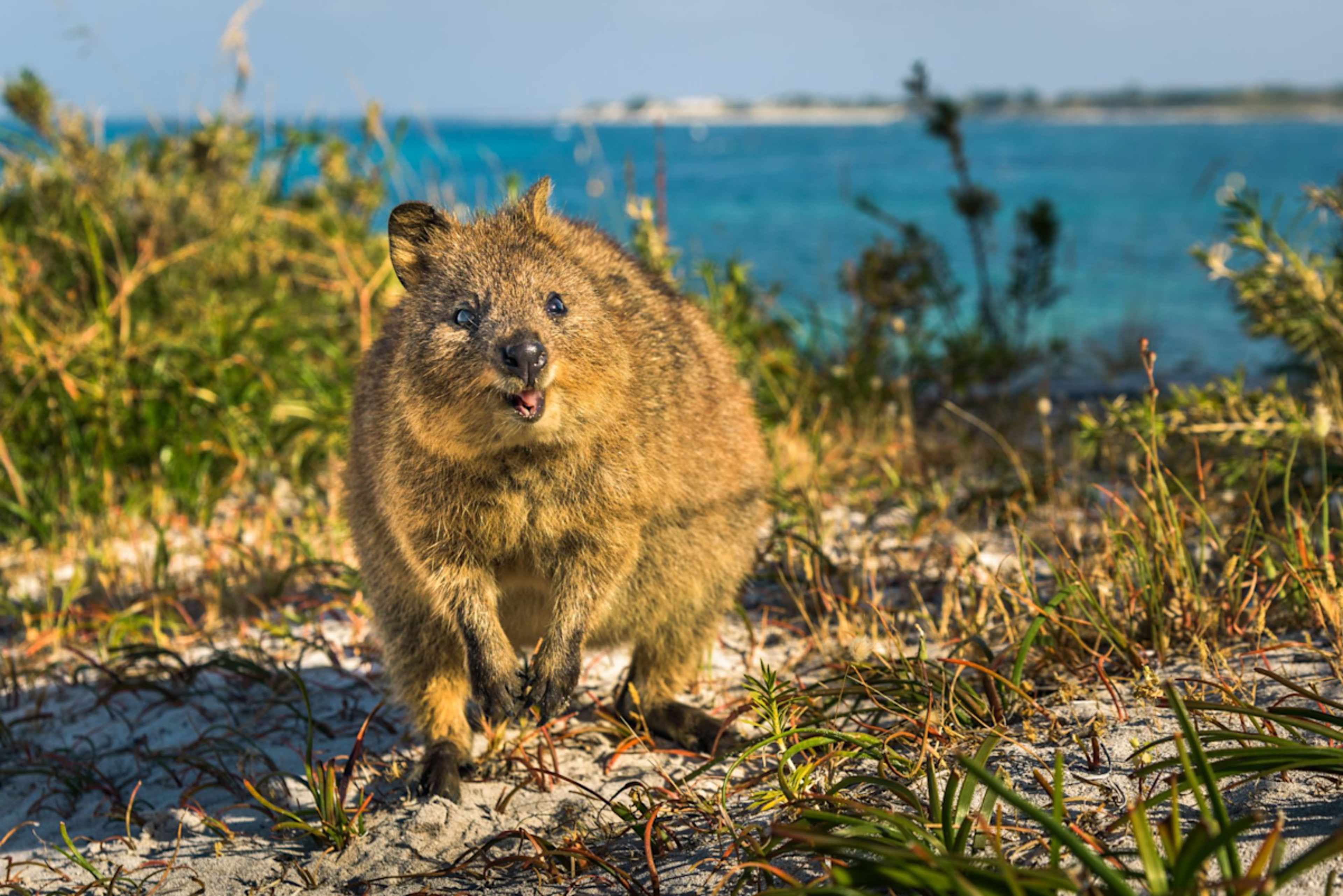 Western Australia In-Depth photo 4