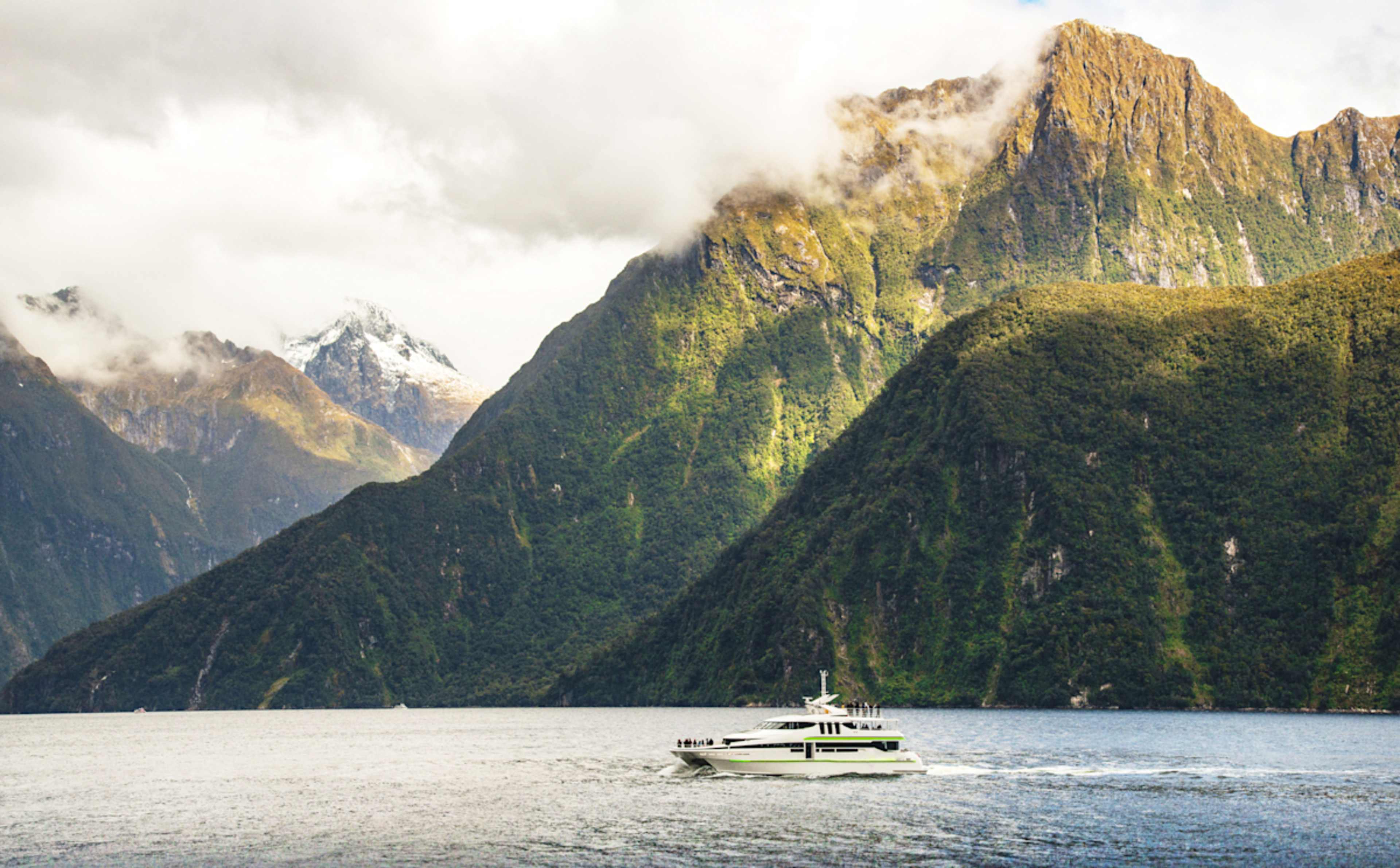 New Zealand Signature photo 1