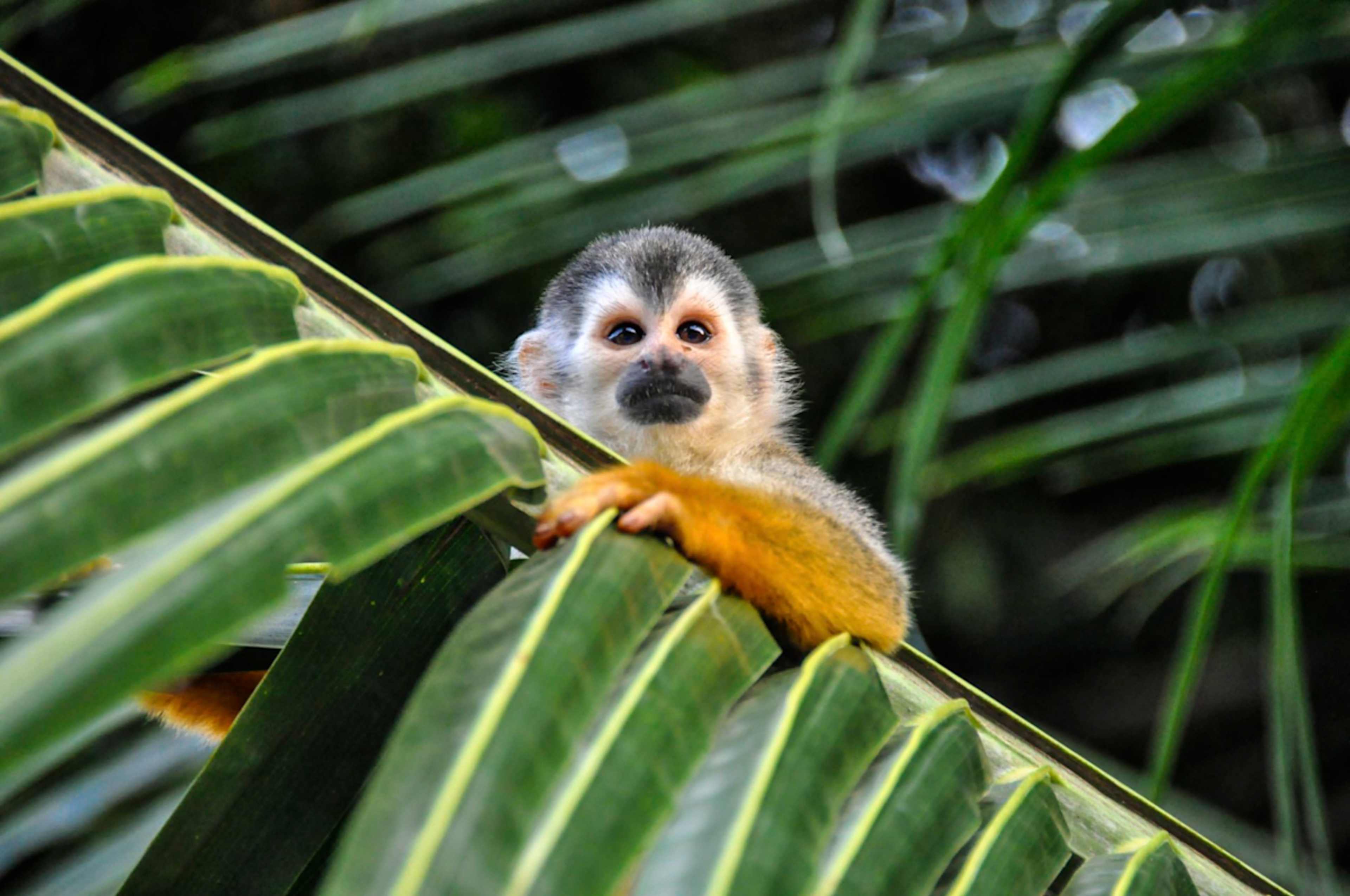 Costa Rica Family Adventure photo 6
