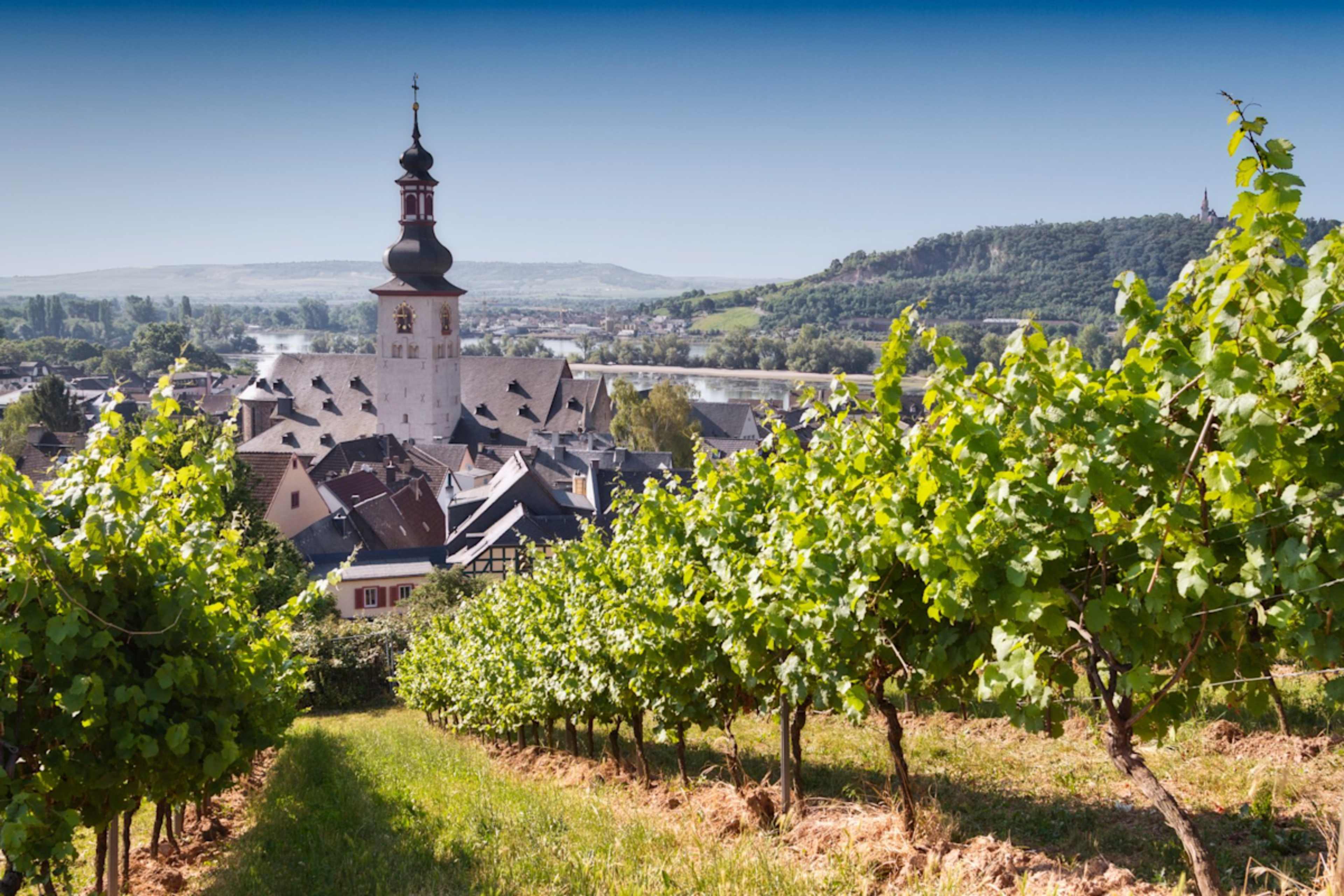 Rhine and Swiss Highlights photo 2