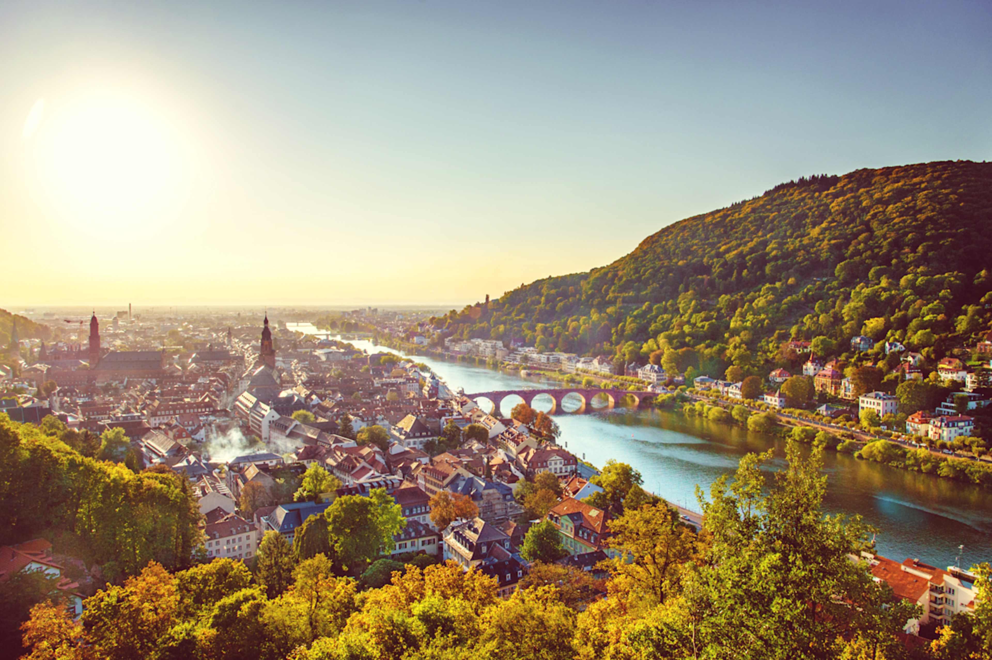 Berlin, Bavaria & Black Forest photo 1