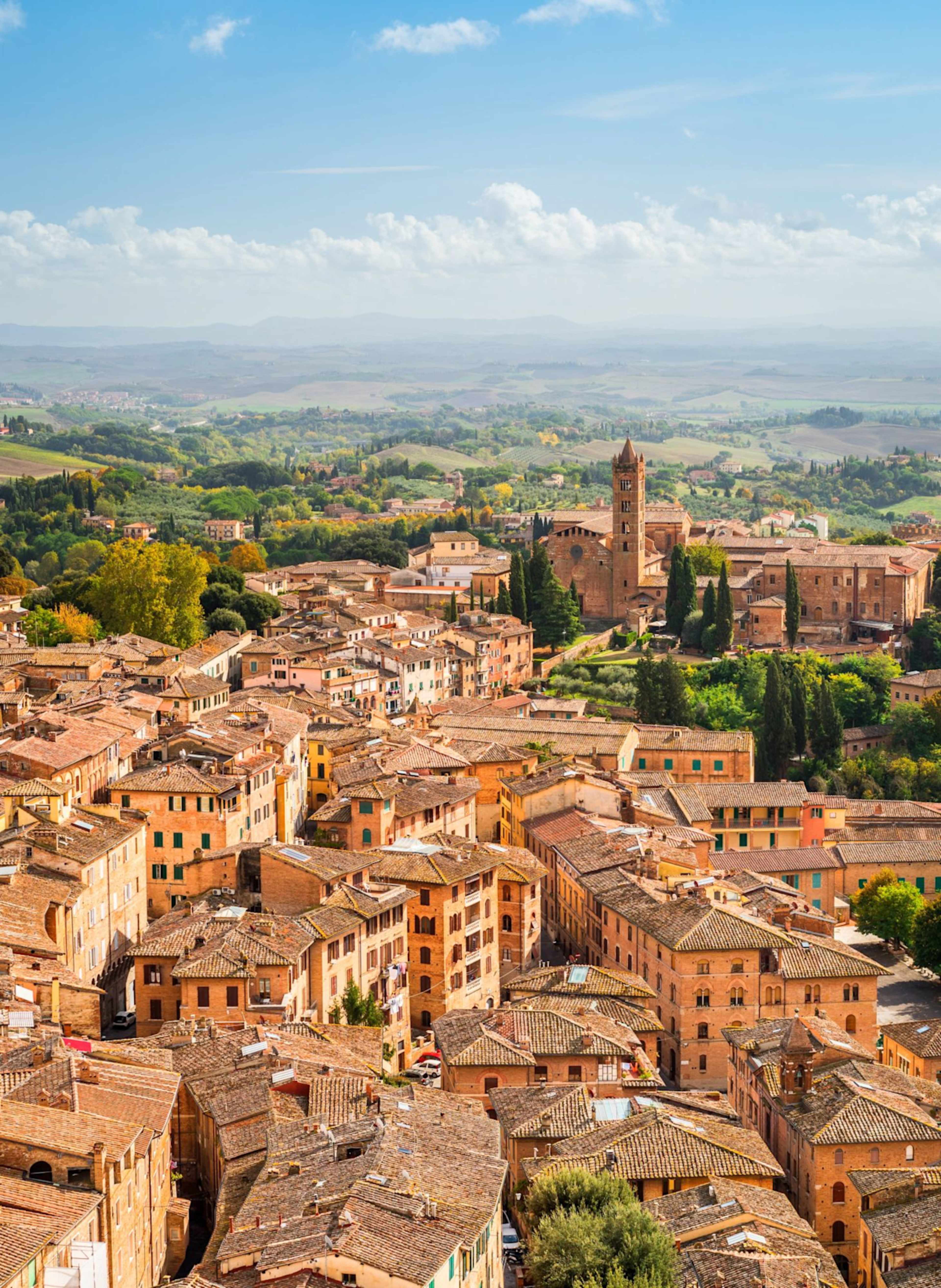 The Flavors of Tuscany photo 5