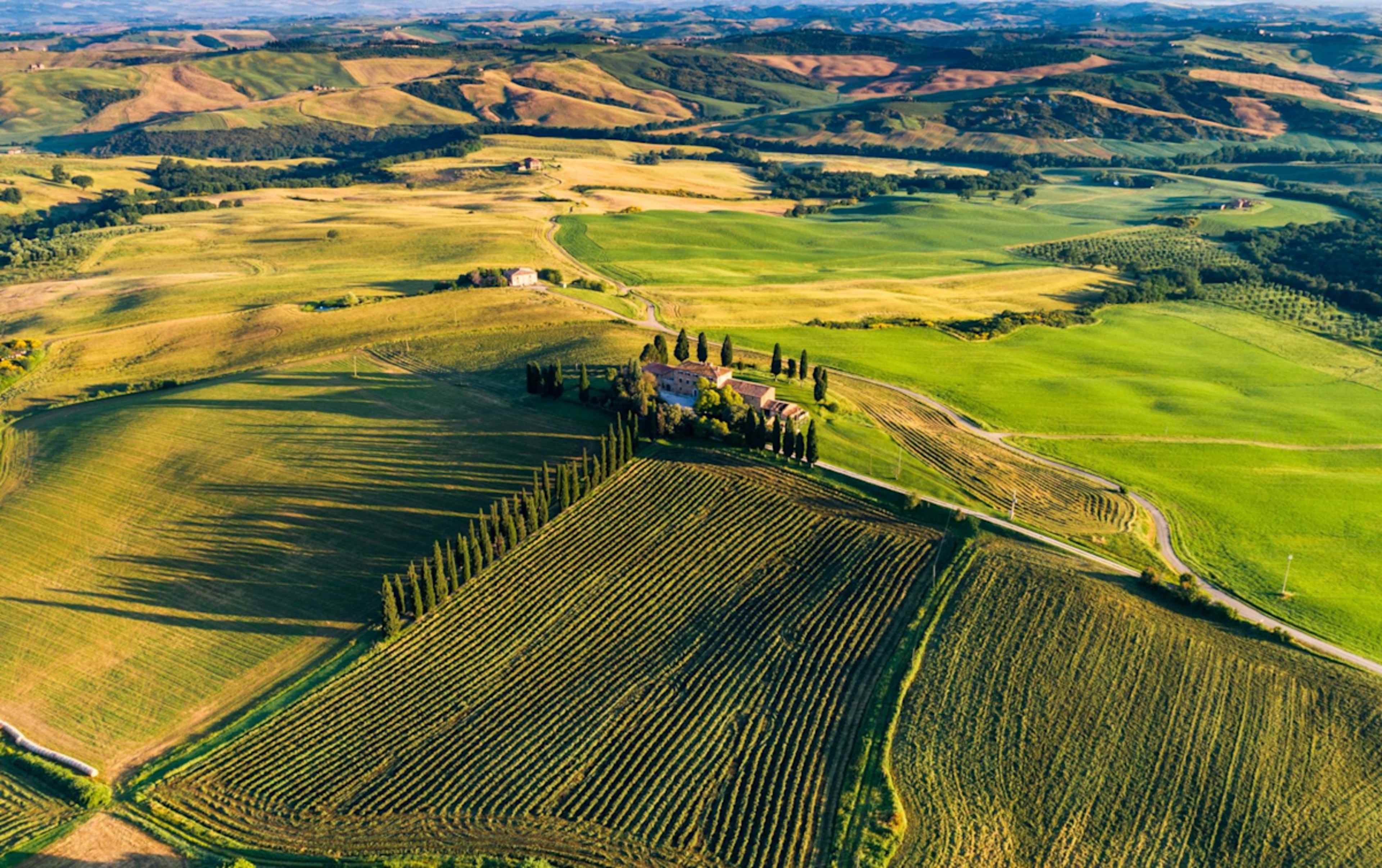 The Flavors of Tuscany photo 6