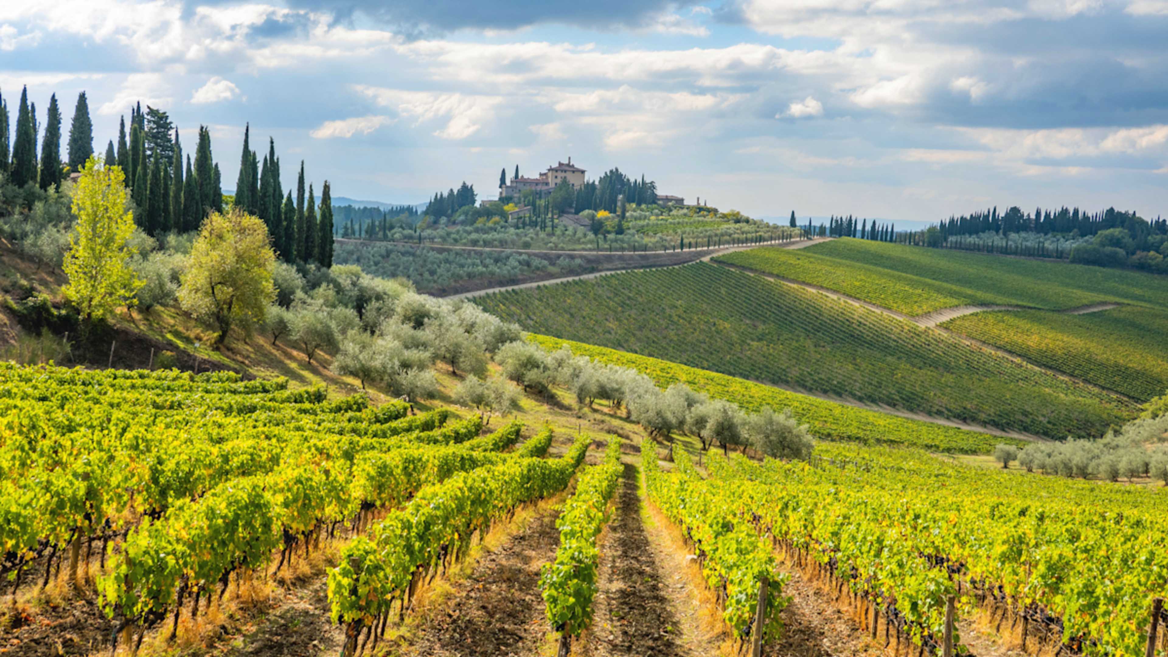 The Flavors of Tuscany photo 7