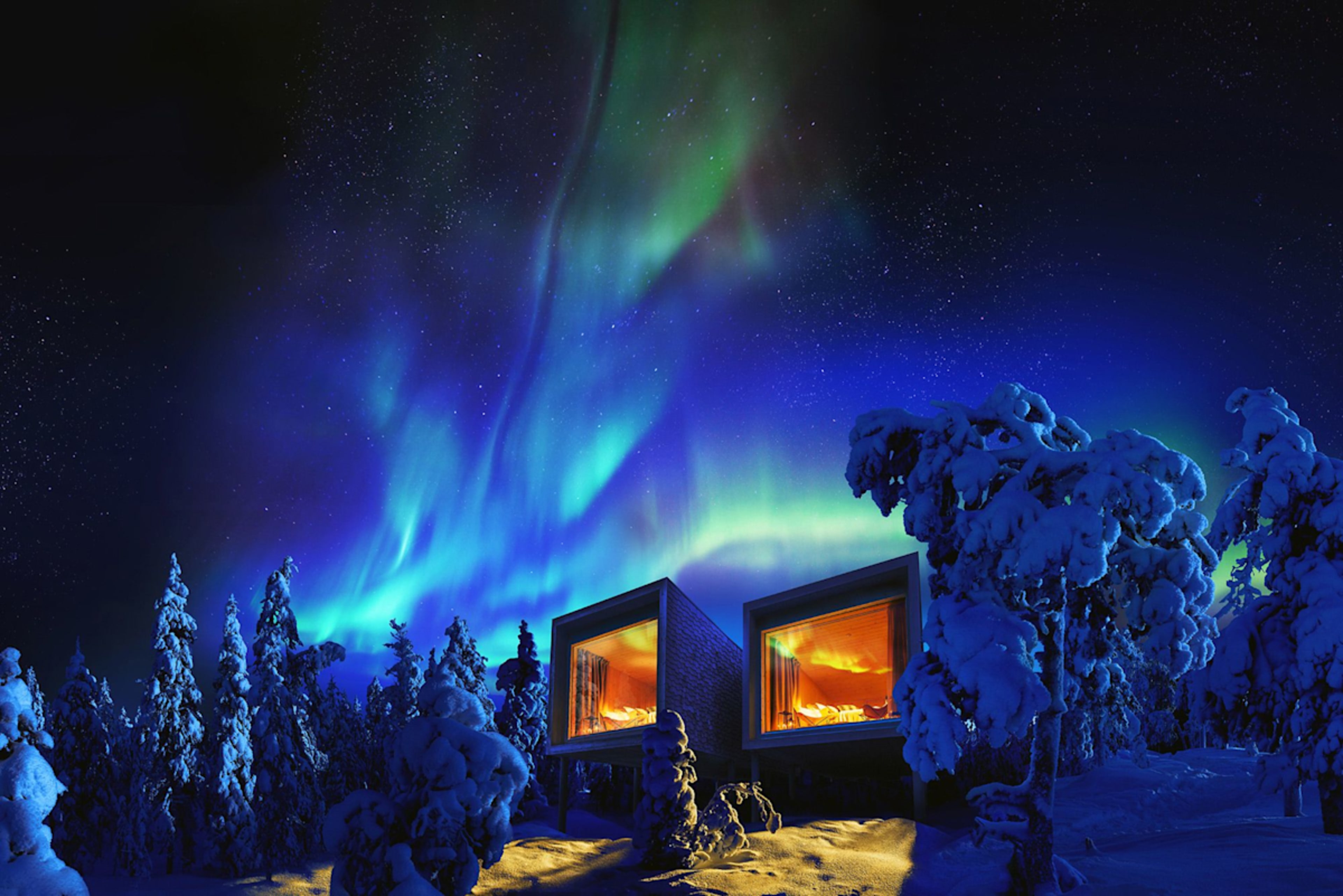 Lapland Winter Wonderland photo 4
