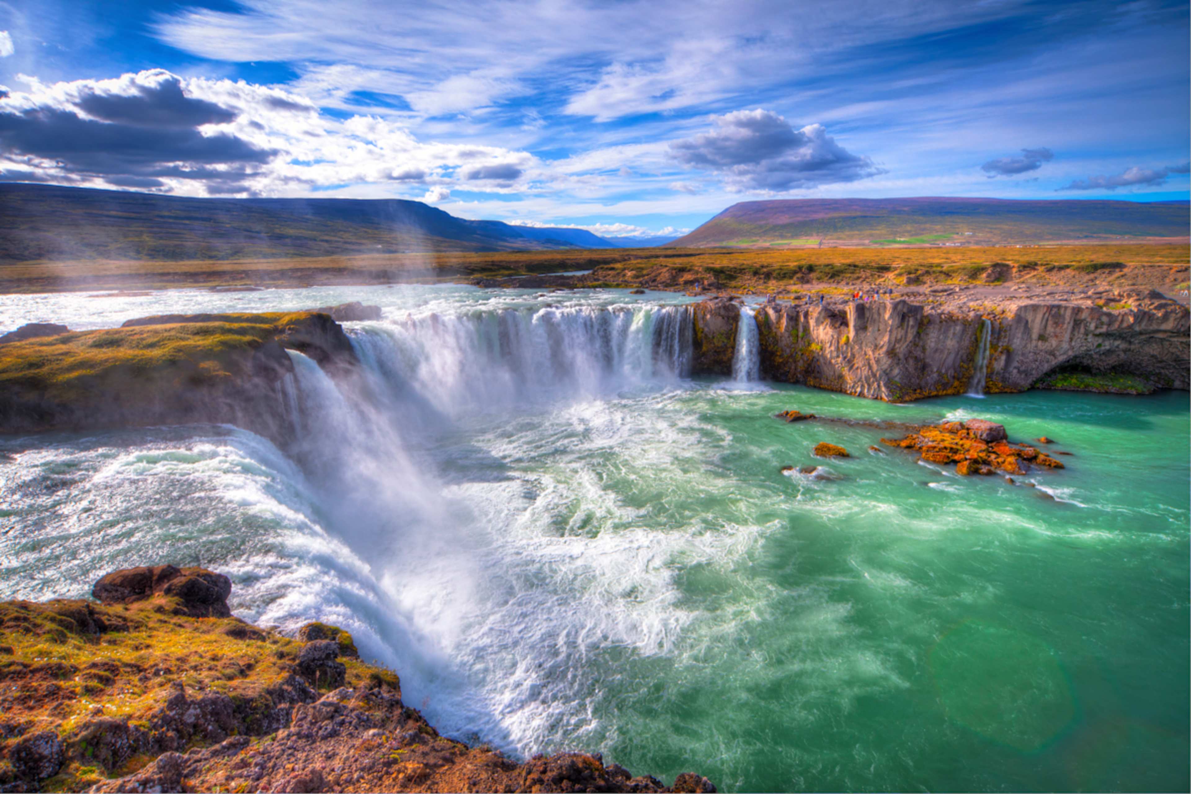 Iceland: Wildlife & Arctic Coast photo 1