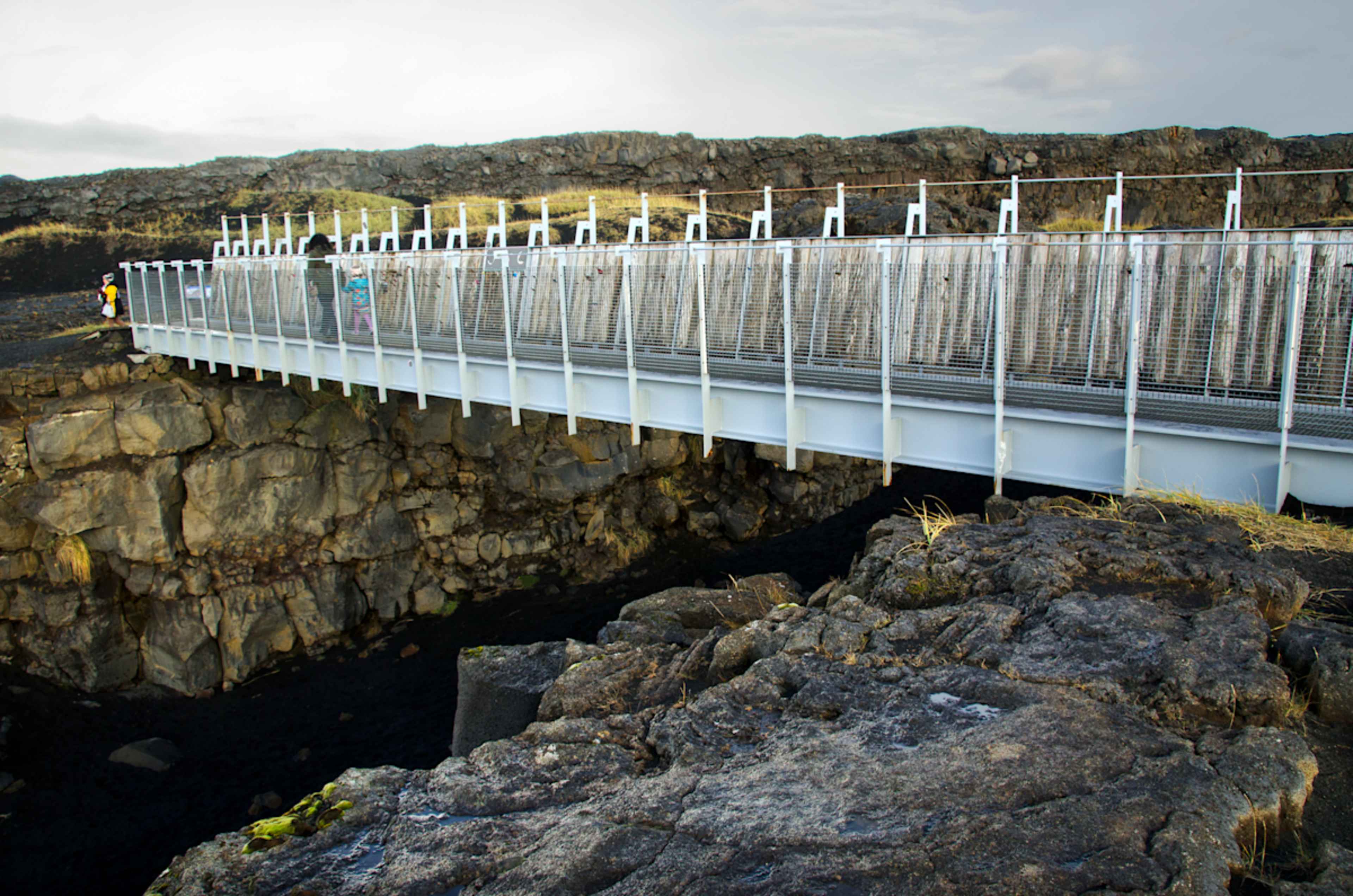 Iceland: Wildlife & Arctic Coast photo 6