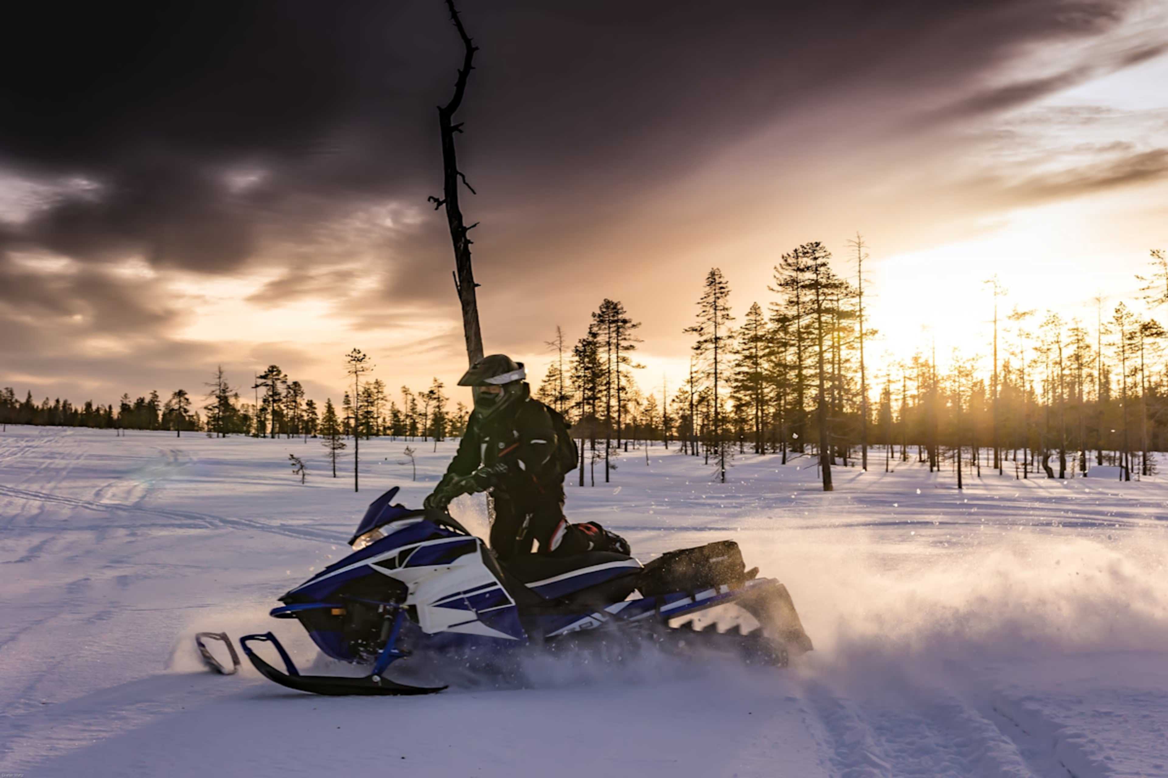 Polar Pursuit: Epic Arctic Adventure photo 3