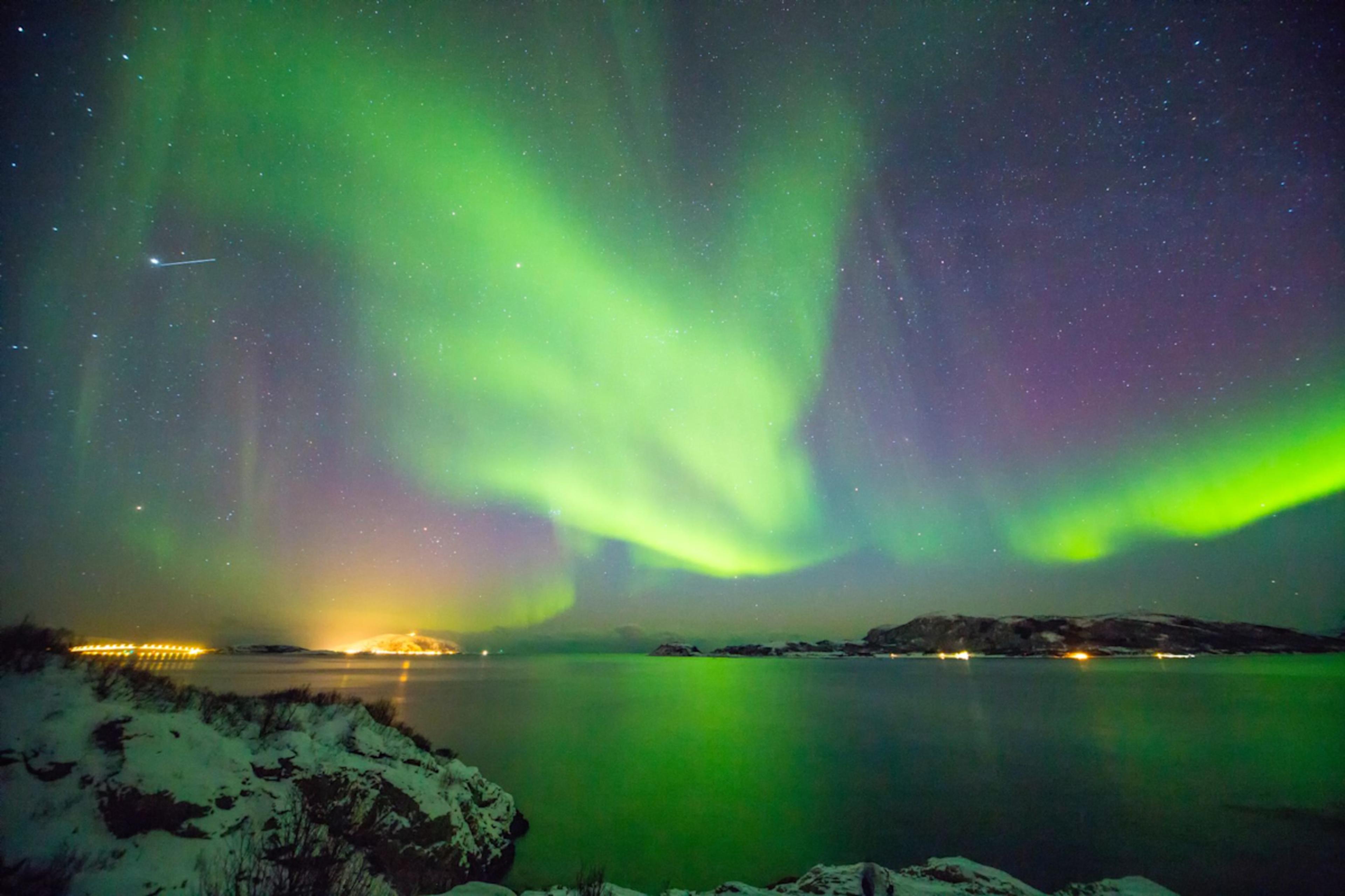 Polar Pursuit: Epic Arctic Adventure photo 2