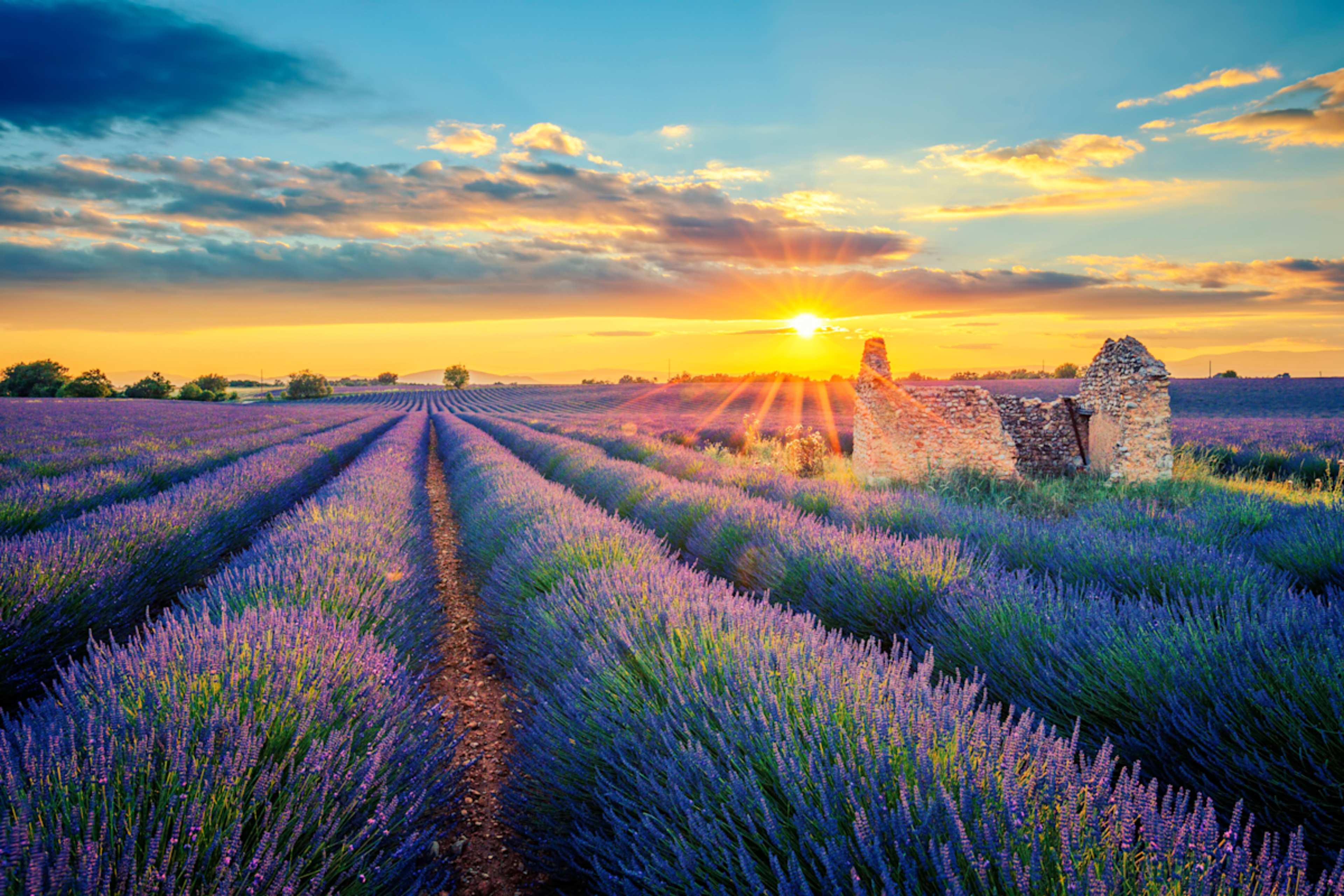 Sensory Journey along the Rhone  photo 4