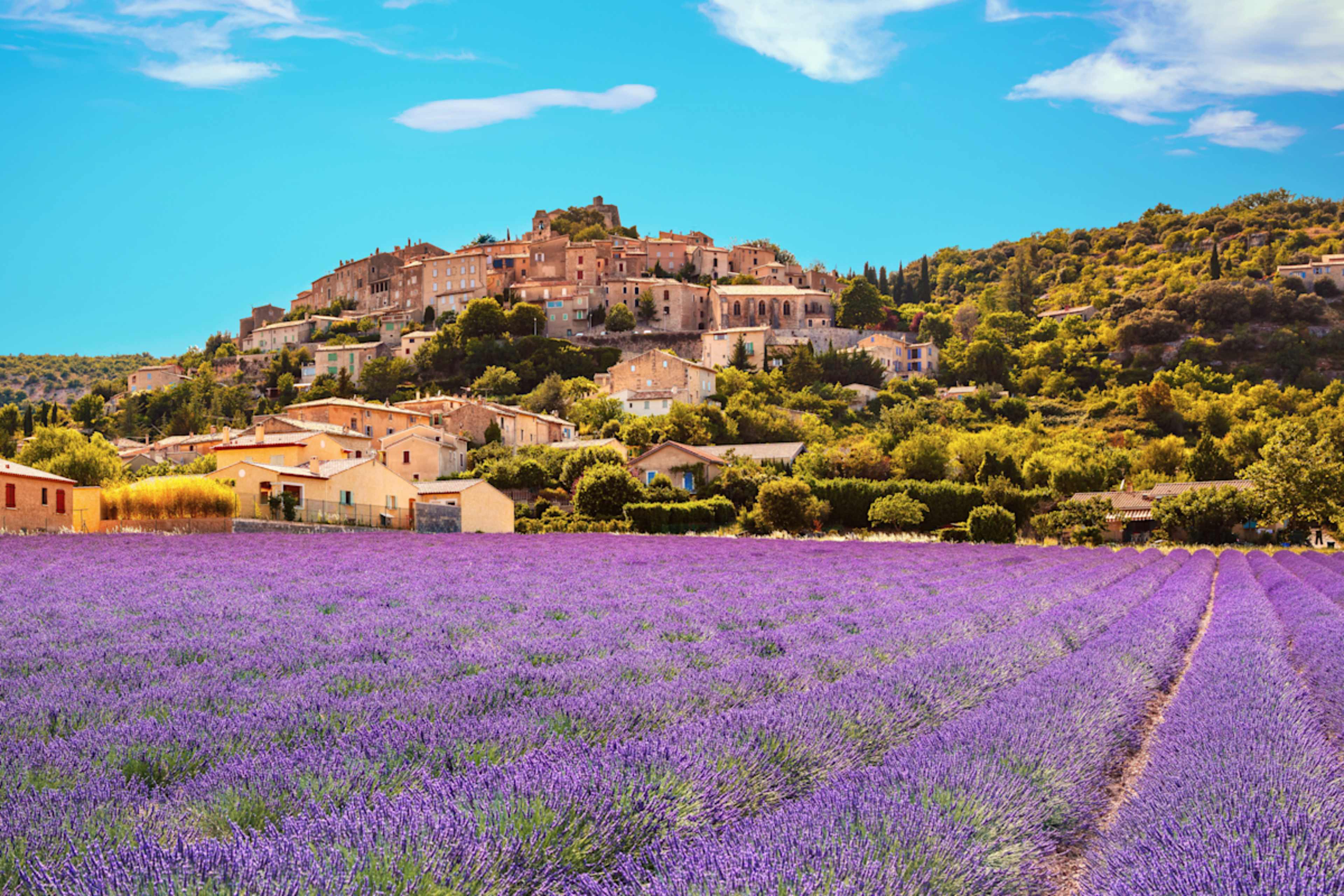 Highlights of Provence & Sailing the Rhone River  photo 2