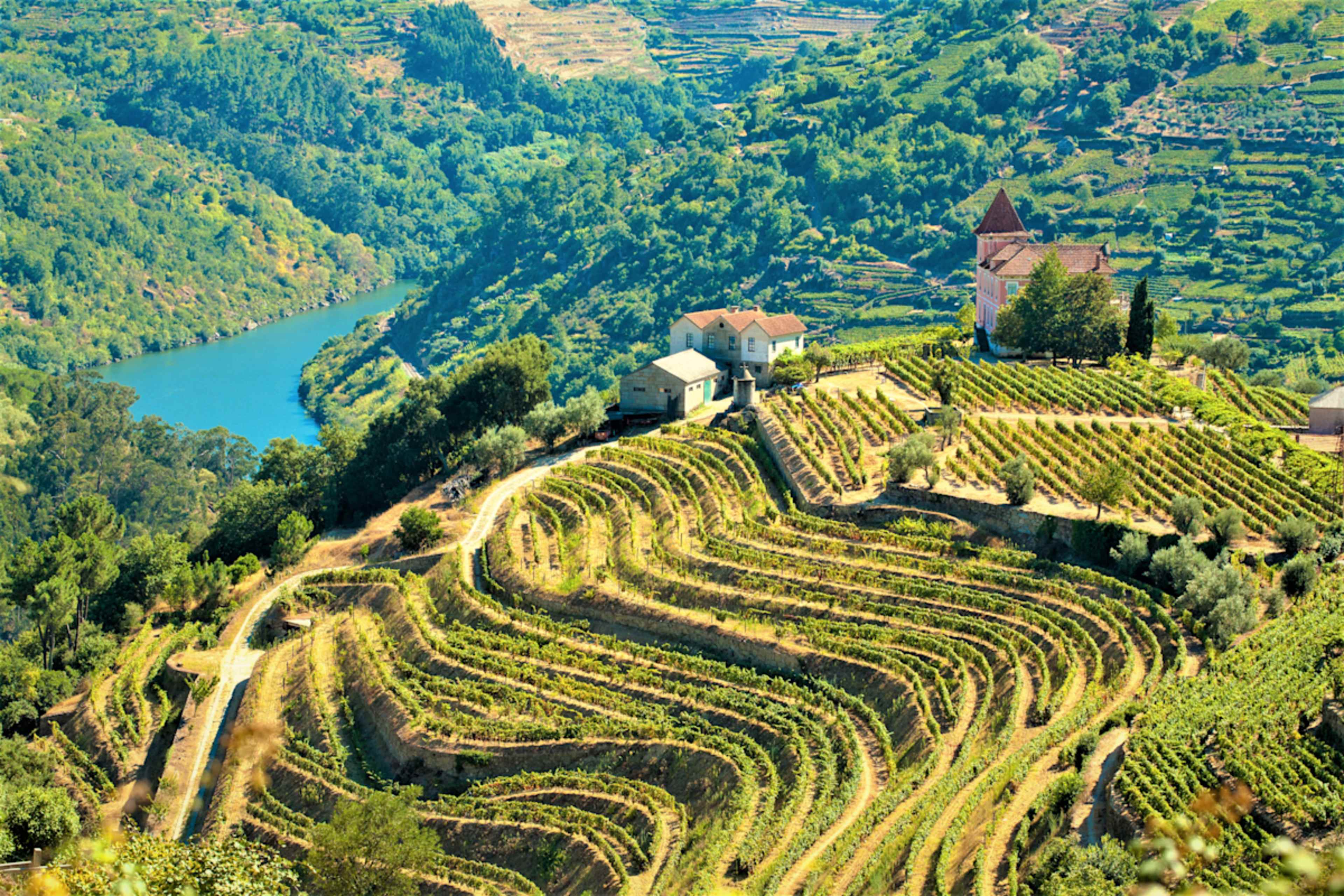 Portugal Cultural Journey & Douro River Cruise  photo 2