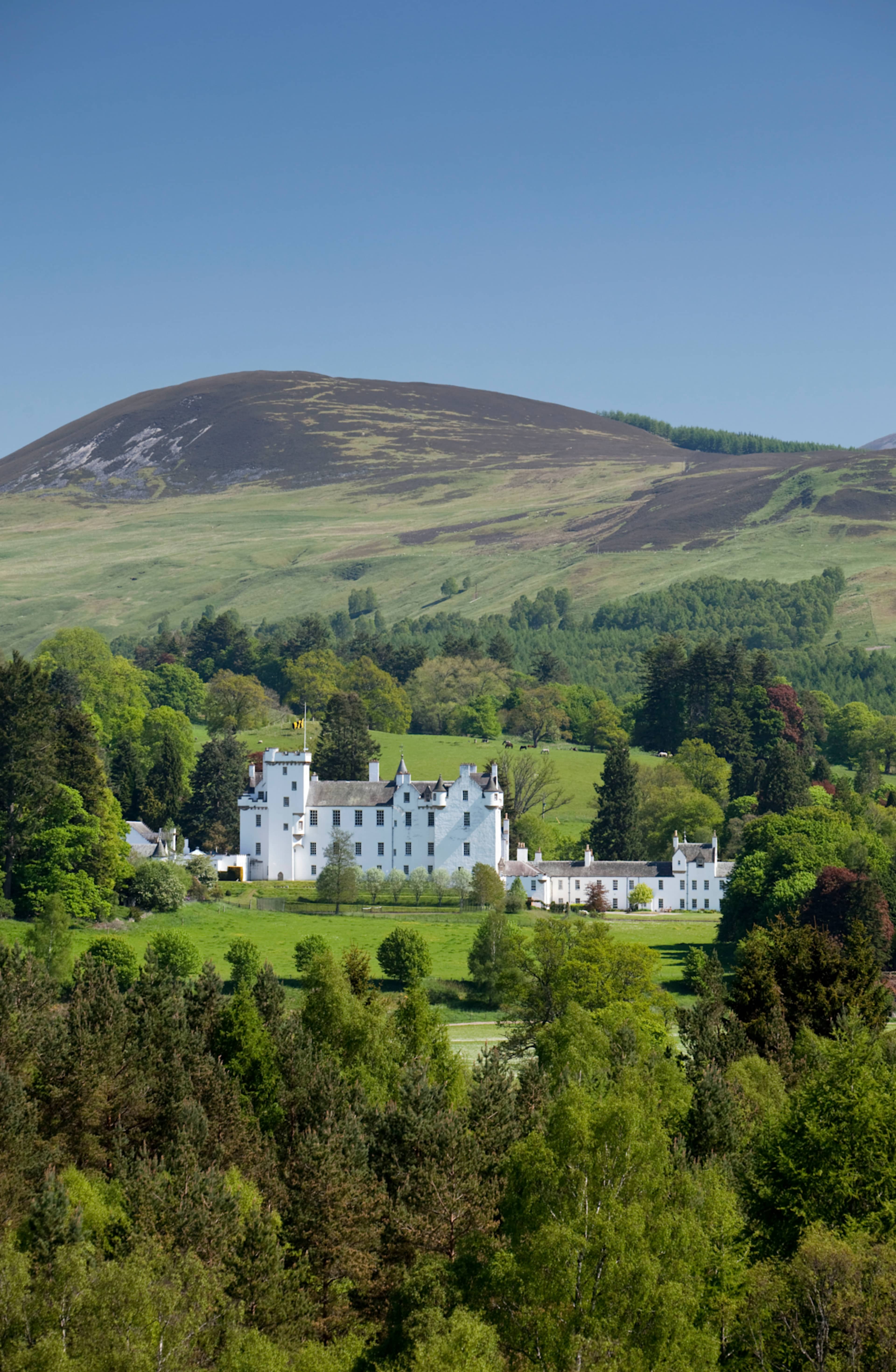 Scotland's Heart: Castles & Wild Highlands photo 14