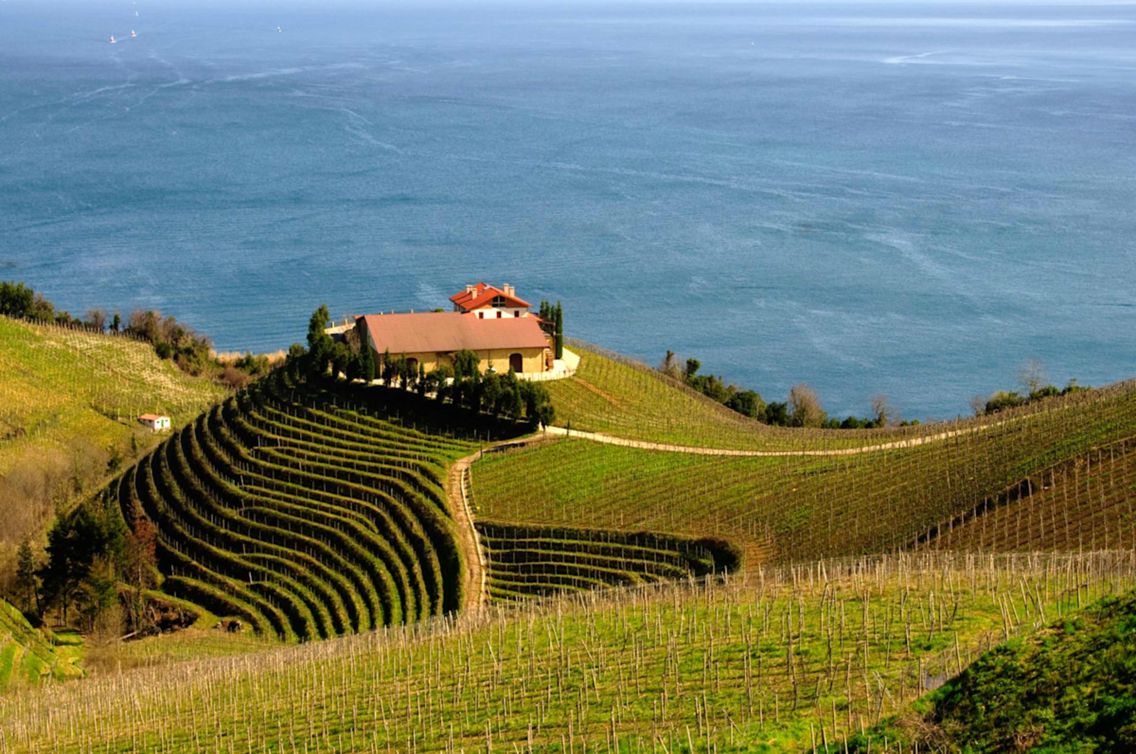 The Food & Wine Wonders of Spain photo 2