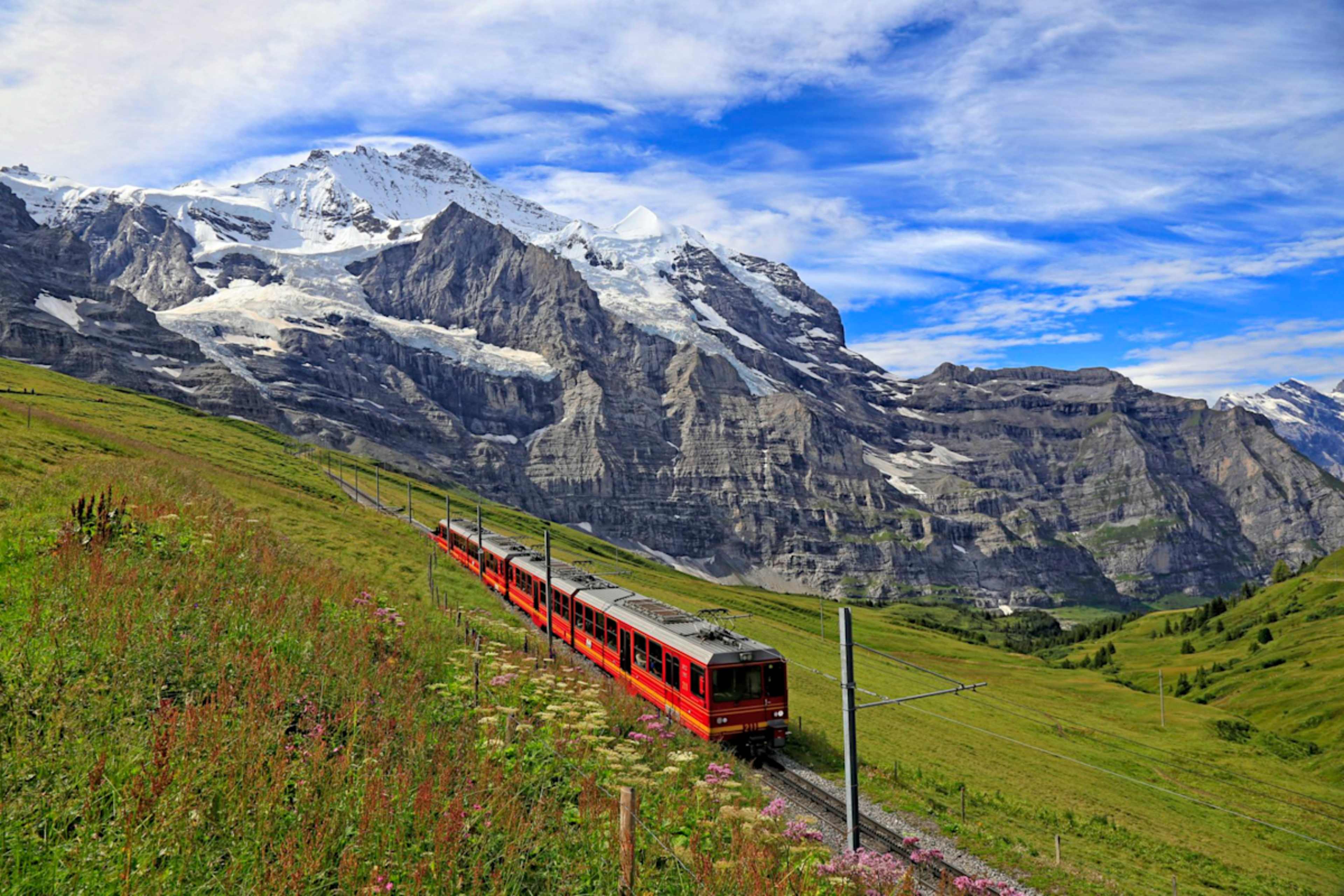 Belgium and Swiss Highlights, Tulips & Rhine Splendor photo 3